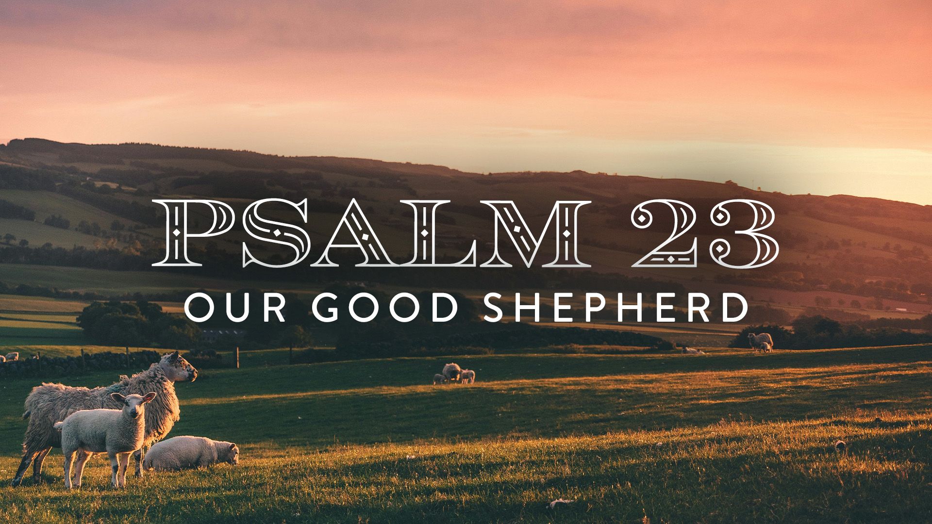 1920x1080 Psalm 23: Our Good Shepherd. Revive Our Hearts Episode. Revive Our Hearts