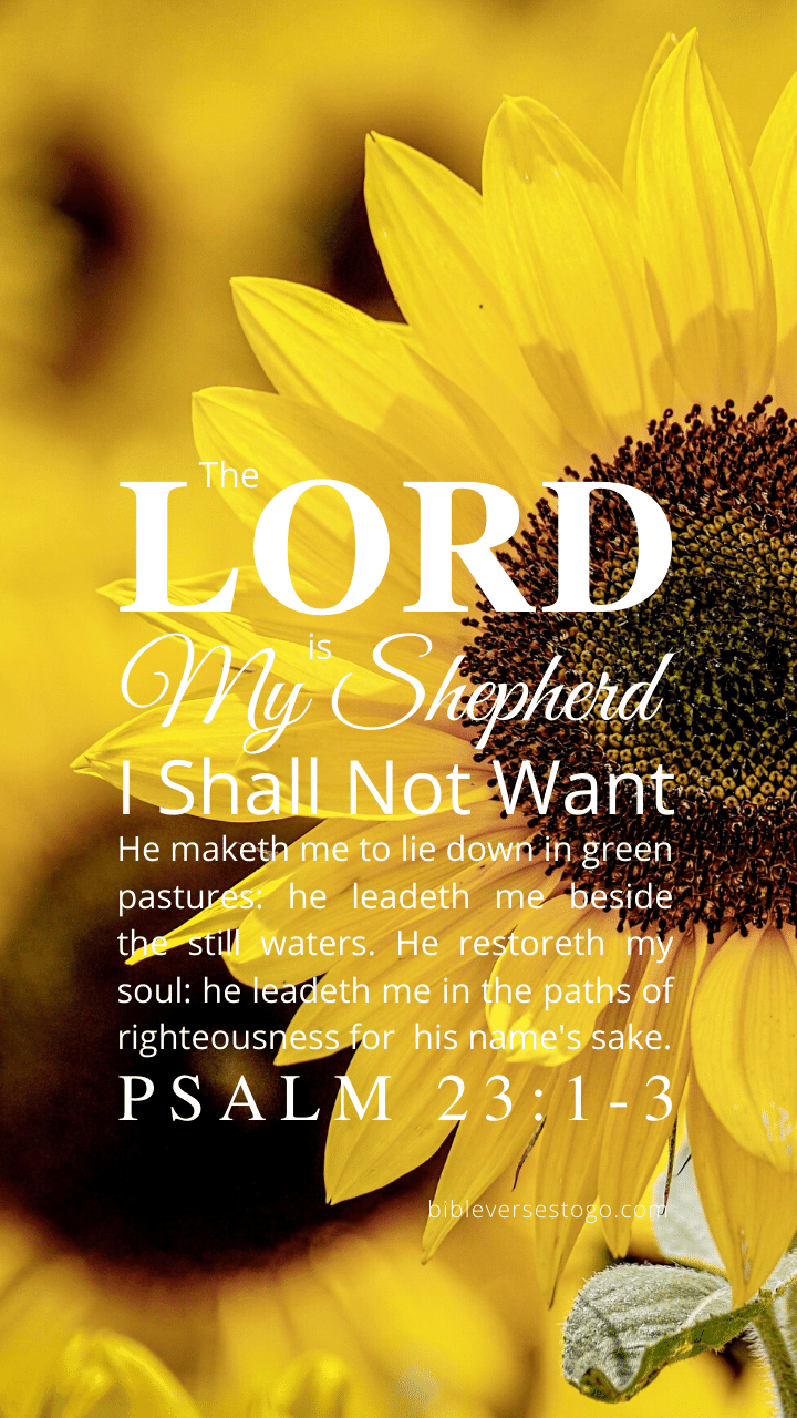 720x1280 Sunflower Psalm 23:1 3