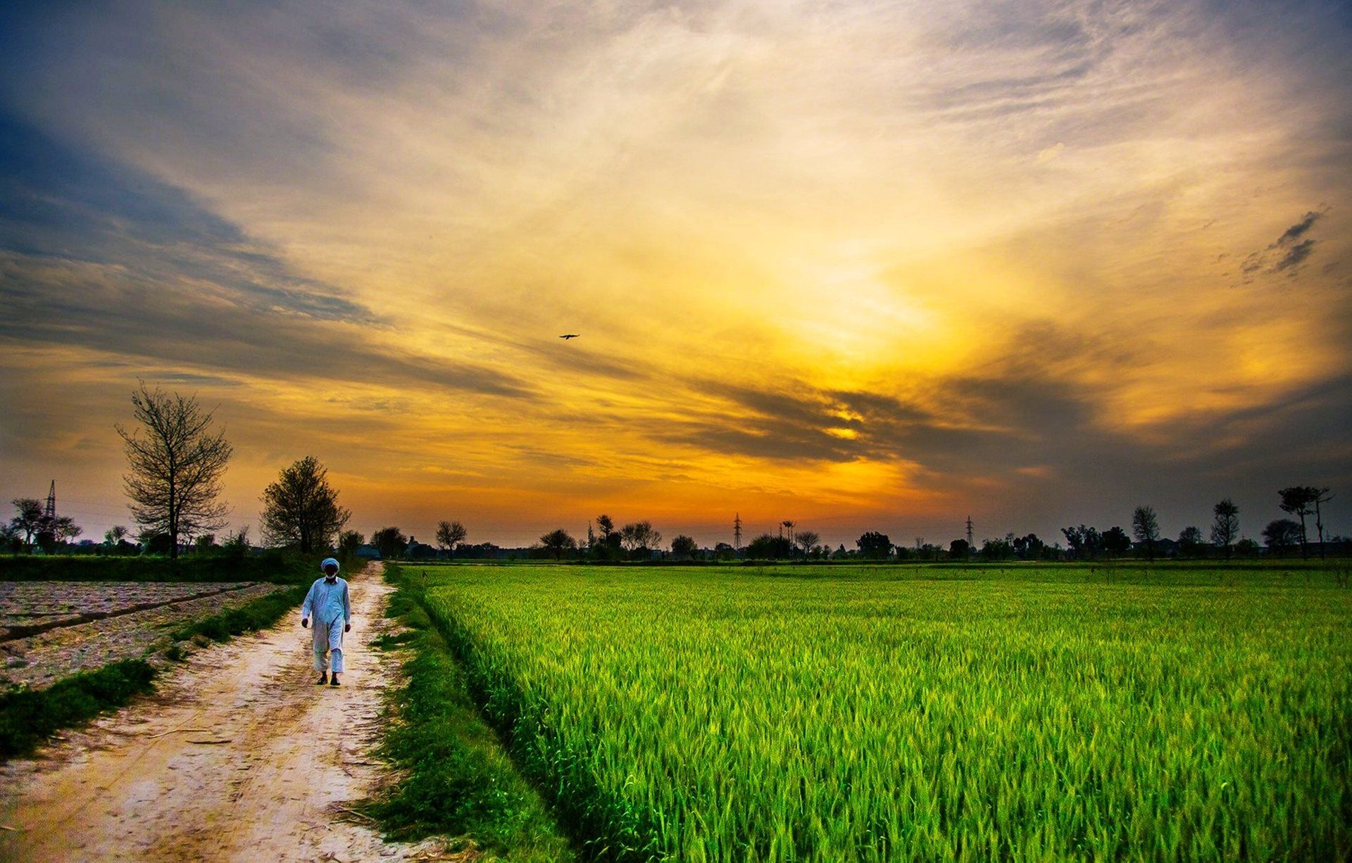 1920x1226 Serene Sunset in Pakistan: A 4K Ultra HD Countryside Landscapex2451