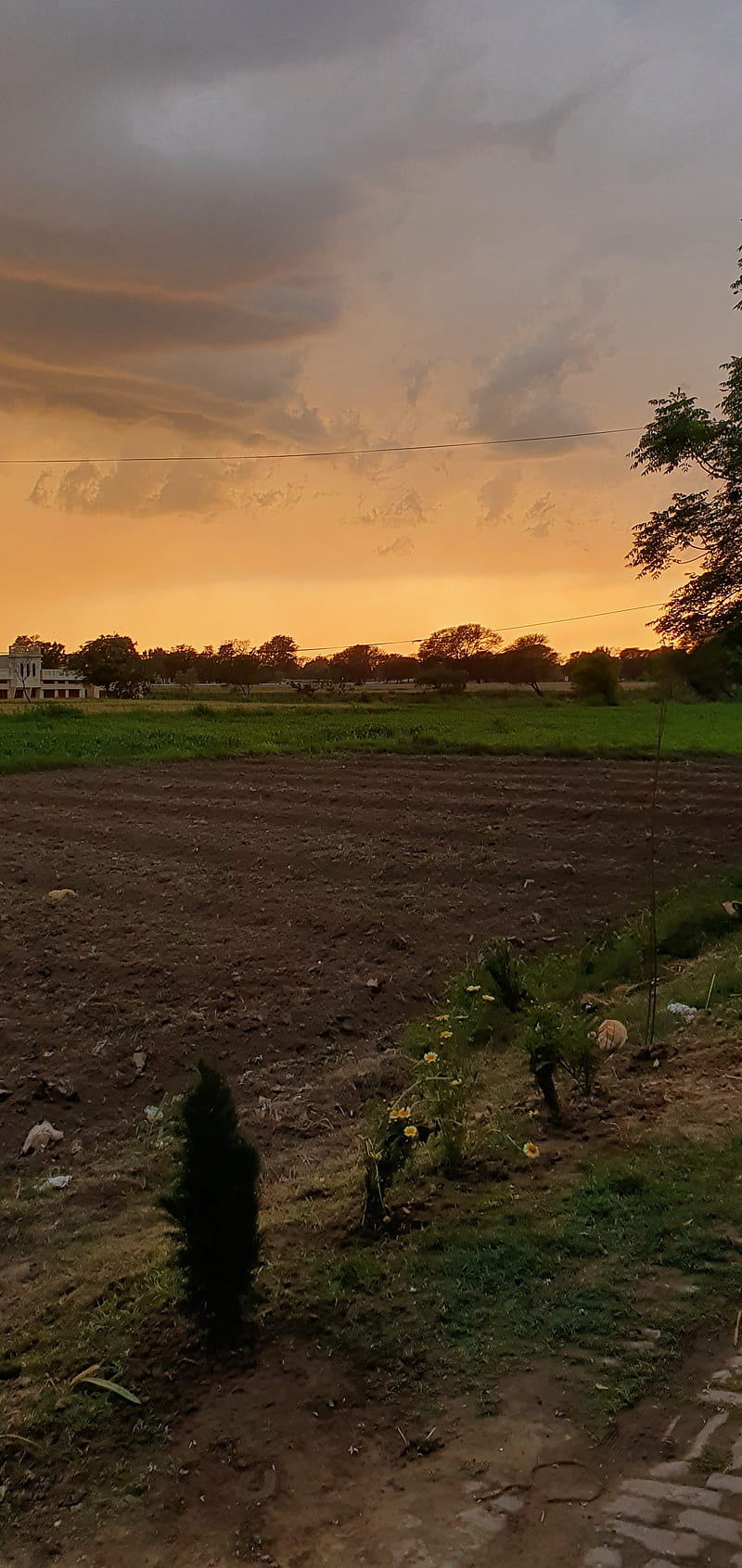 800x1691 Pakistani village, farm, golf, land, natural beauty, pakistan, HD phone wallpaper