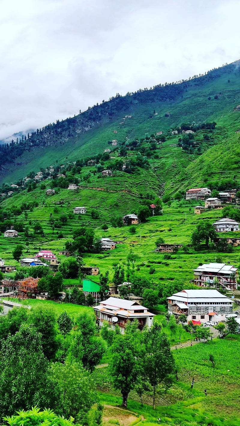 800x1422 Green Kashmir, gmhamad greenery, greenland, huts, iphone, life in mountains, HD phone wallpaper