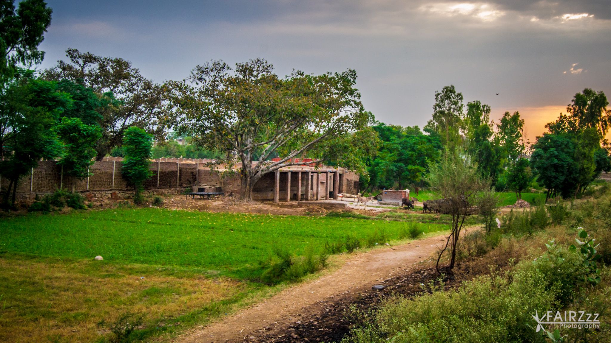 2048x1152 village life in Pakistan