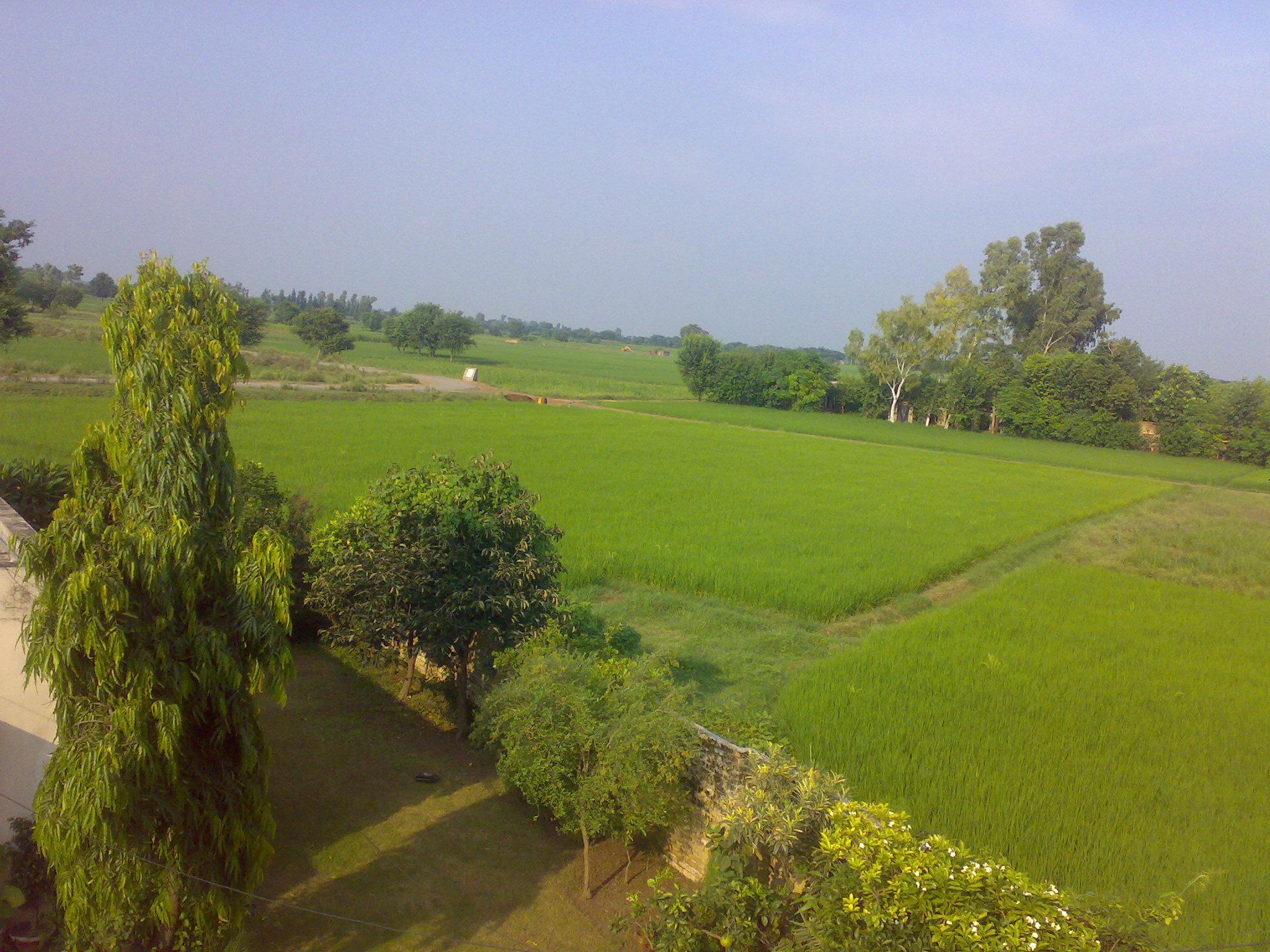 2048x1536 My village in Narowal from grandfather's house's roof