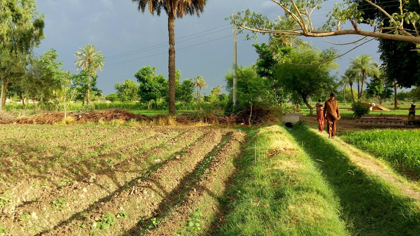 1600x900 Simple Village life in Punjab. Sindh. Pakistan