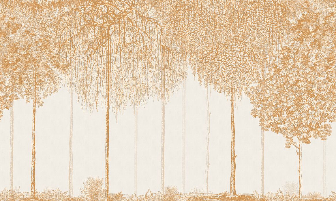 1165x699 Trees Cascade