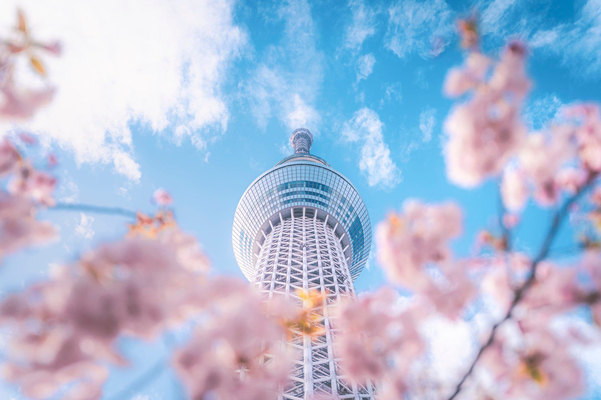 1920x1279 Japan Core Growth