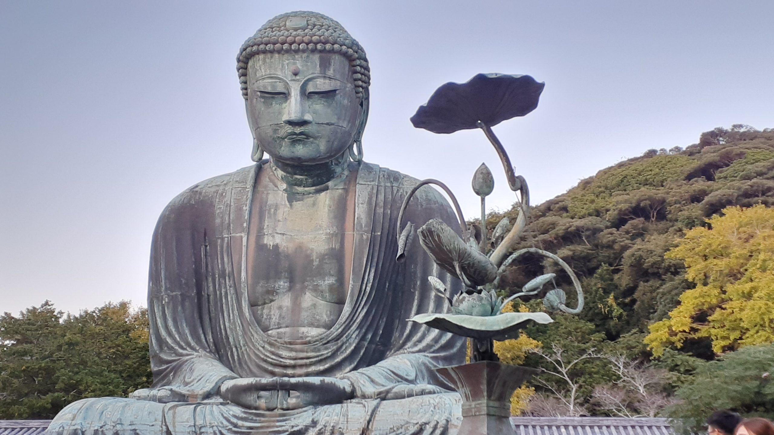 2560x1440 Tokyo Cultural Tours & Day Trips