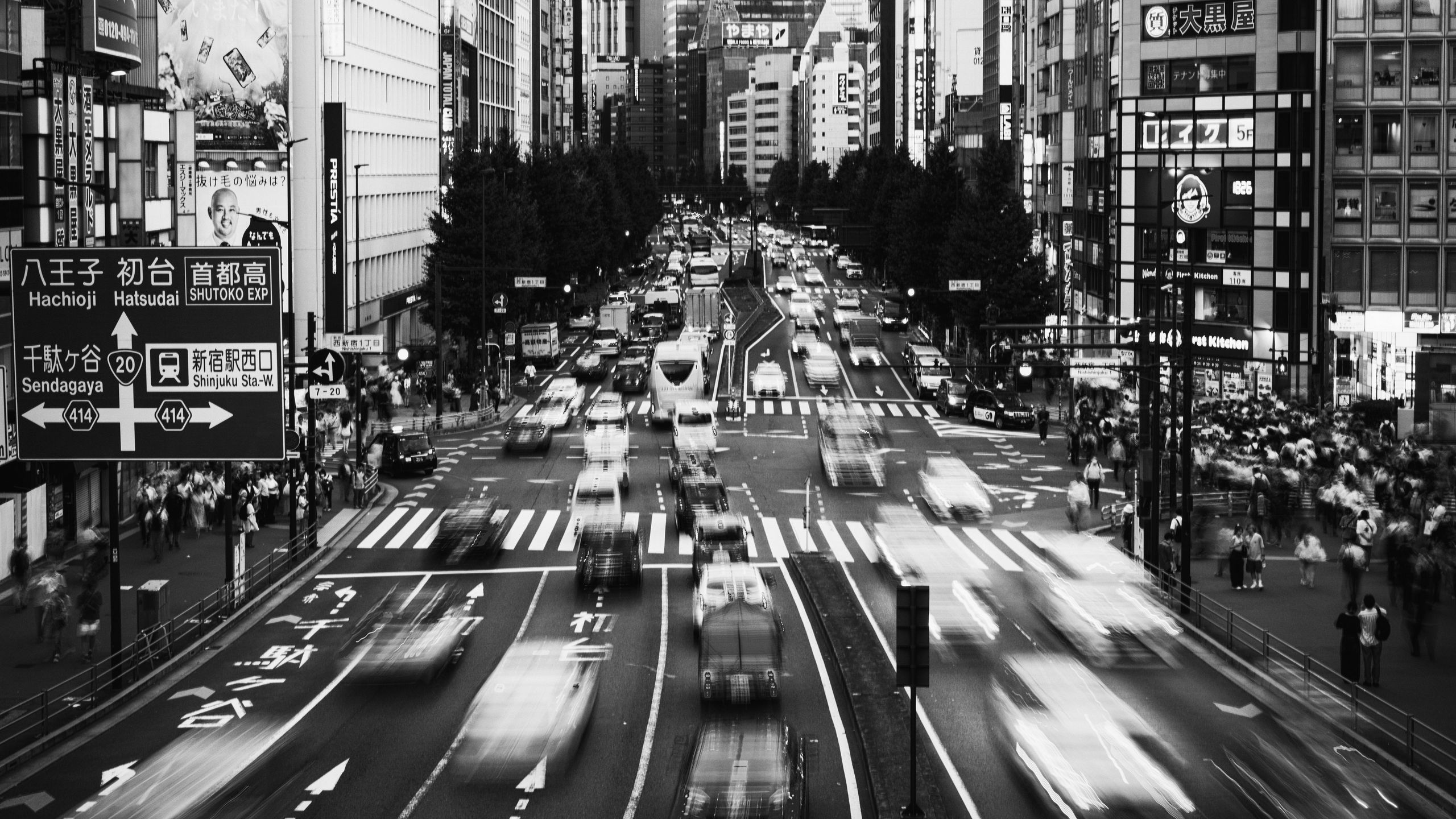 2560x1440 Black And White Japanese Wallpaper