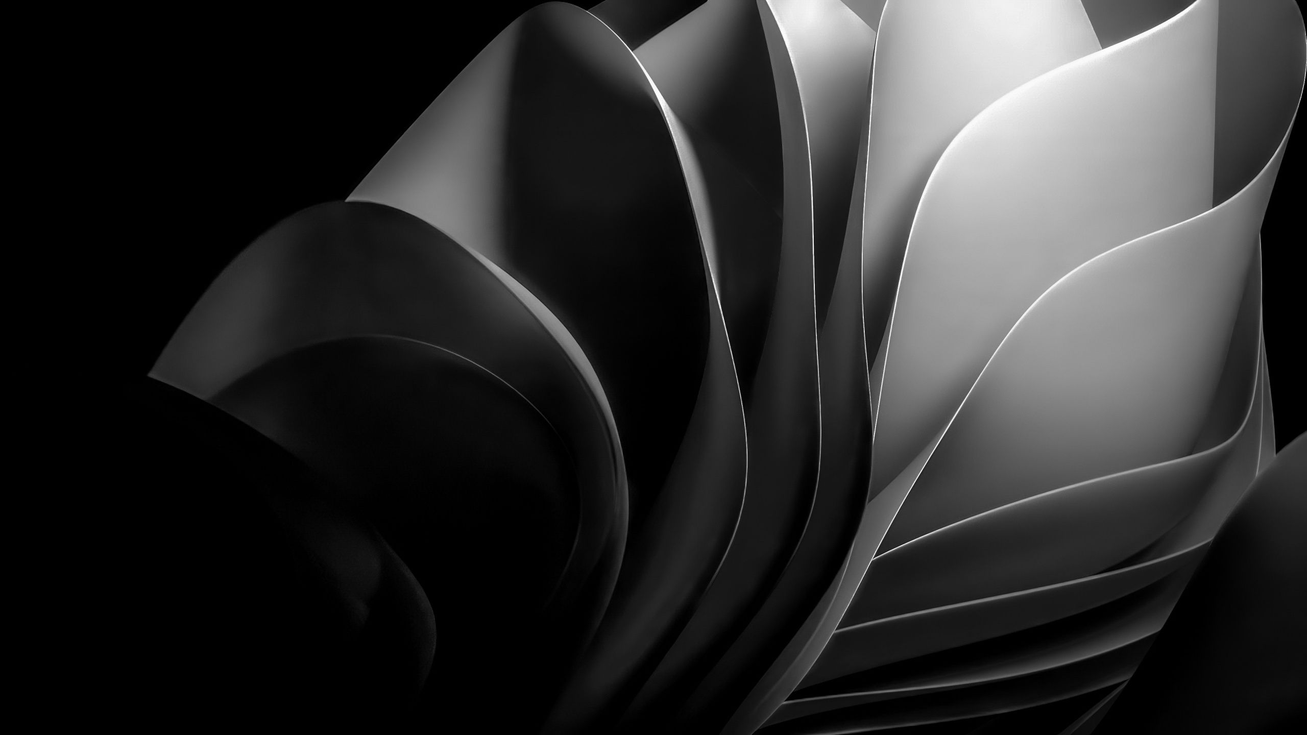 2560x1440 Windows 11 Wallpaper 4K, Monochrome, Dark Mode