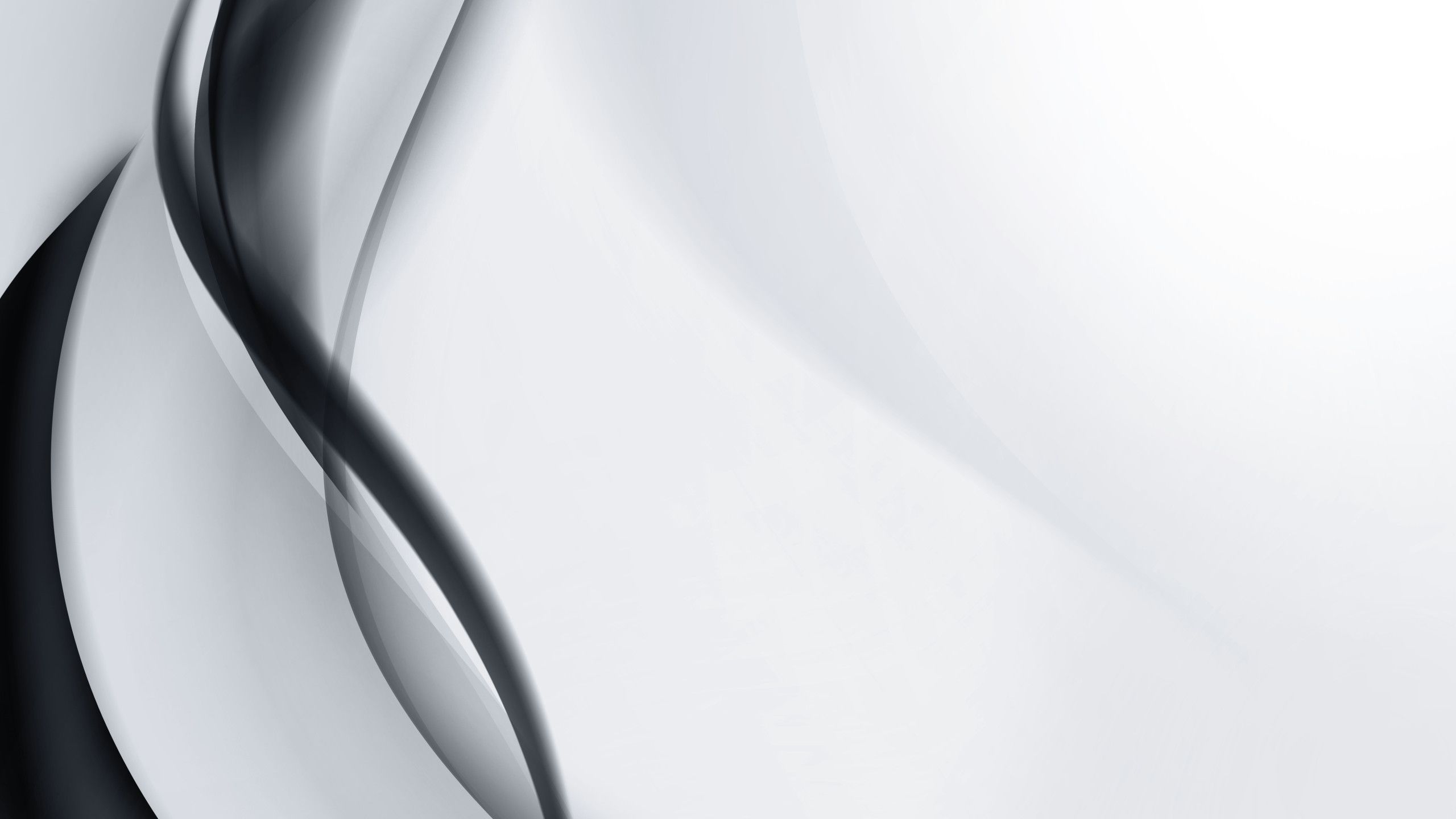 2560x1440 Black And White Background Nice Wallpaper 16258