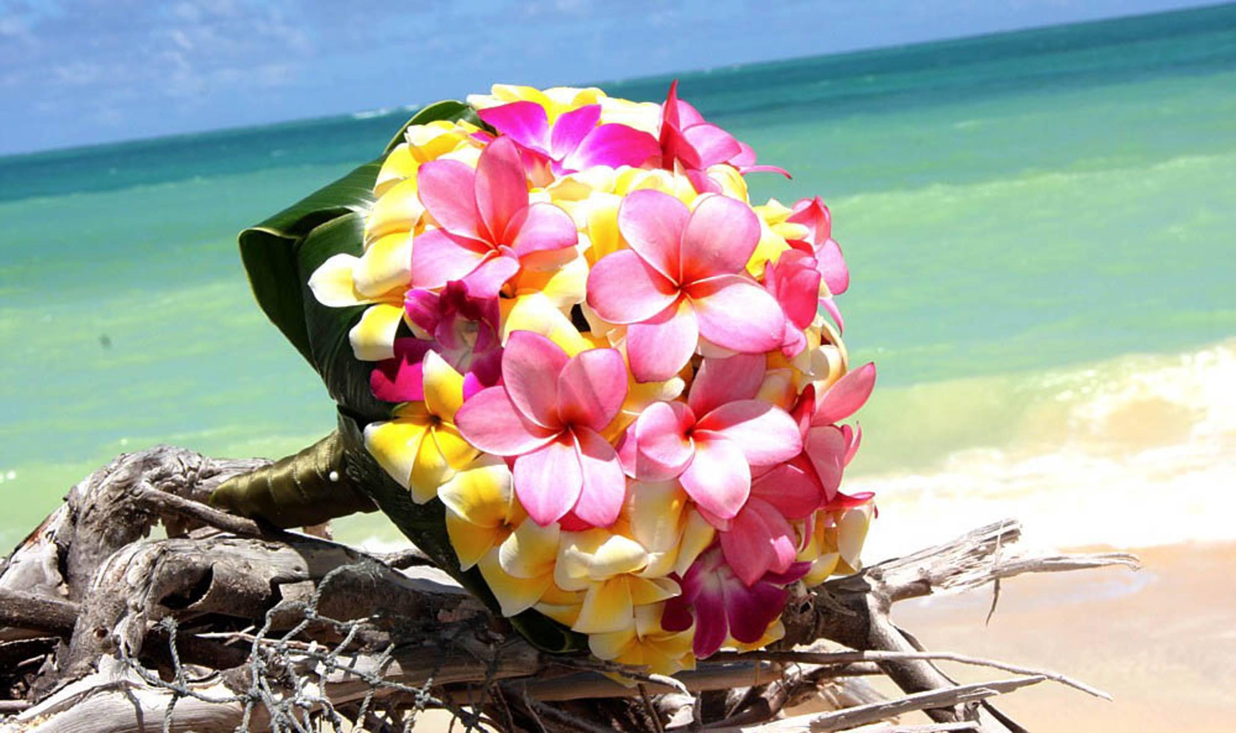 Beach Floral Wallpapers - Top Free Beach Floral Backgrounds