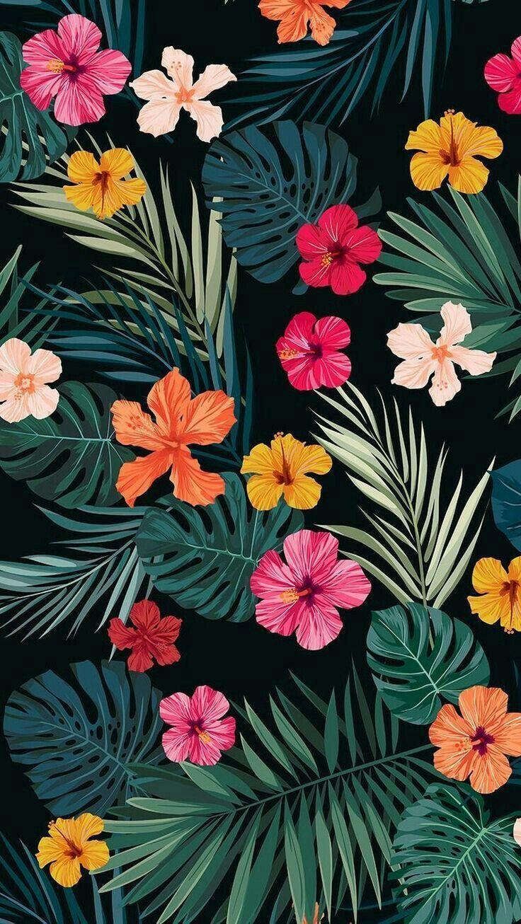 736x1306 Wallpaper. Flower iphone wallpaper, Flower wallpaper, Floral wallpaper