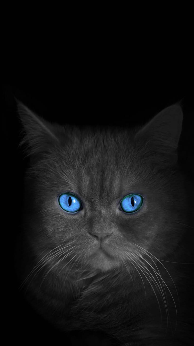 800x1421 HD full 8k wallpaper