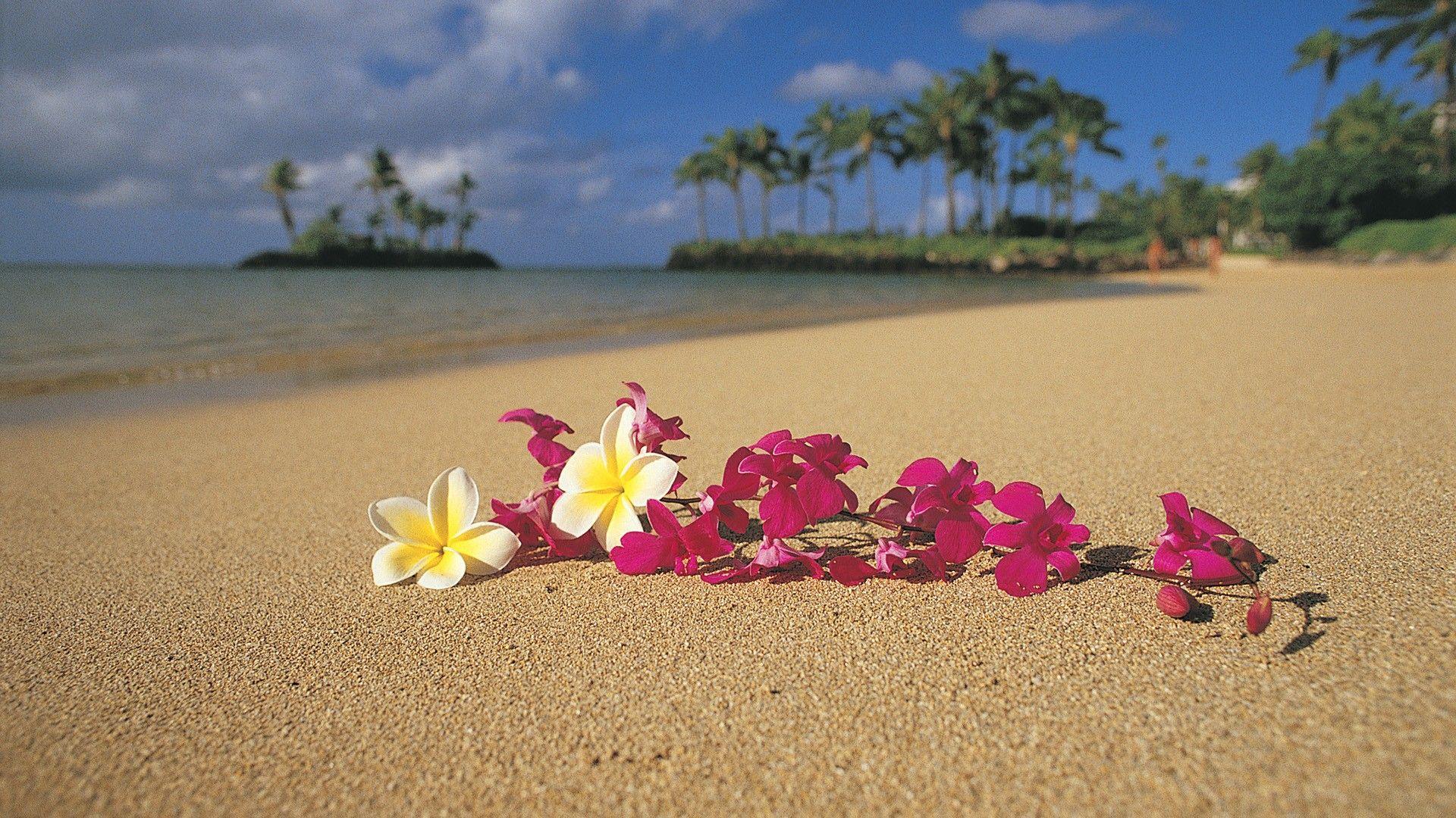 1920x1080 Tropical Inspired Wallpaper. Tropical Inspired Wallpaper