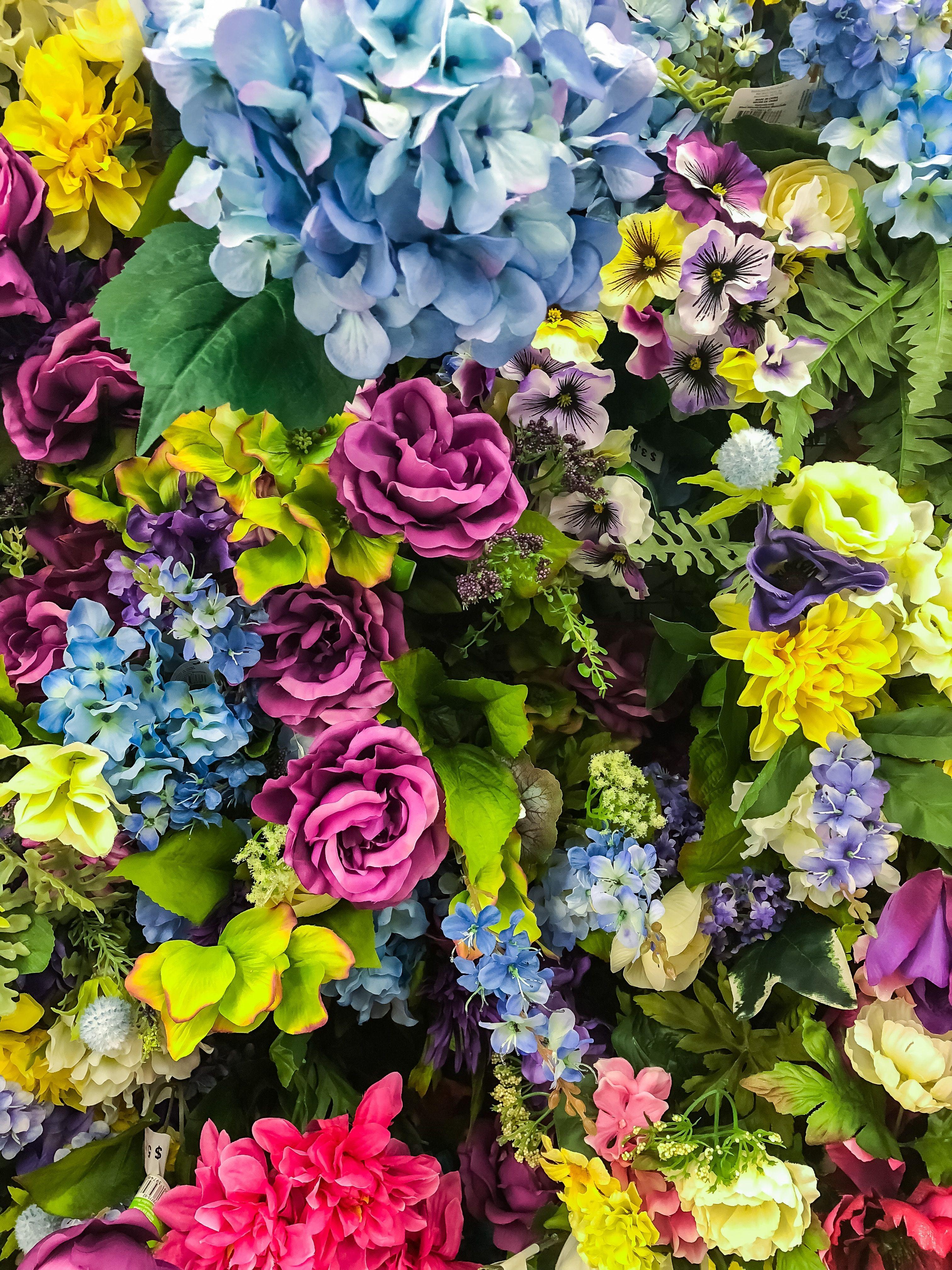 3024x4032 Floral Background Image: Download HD Background