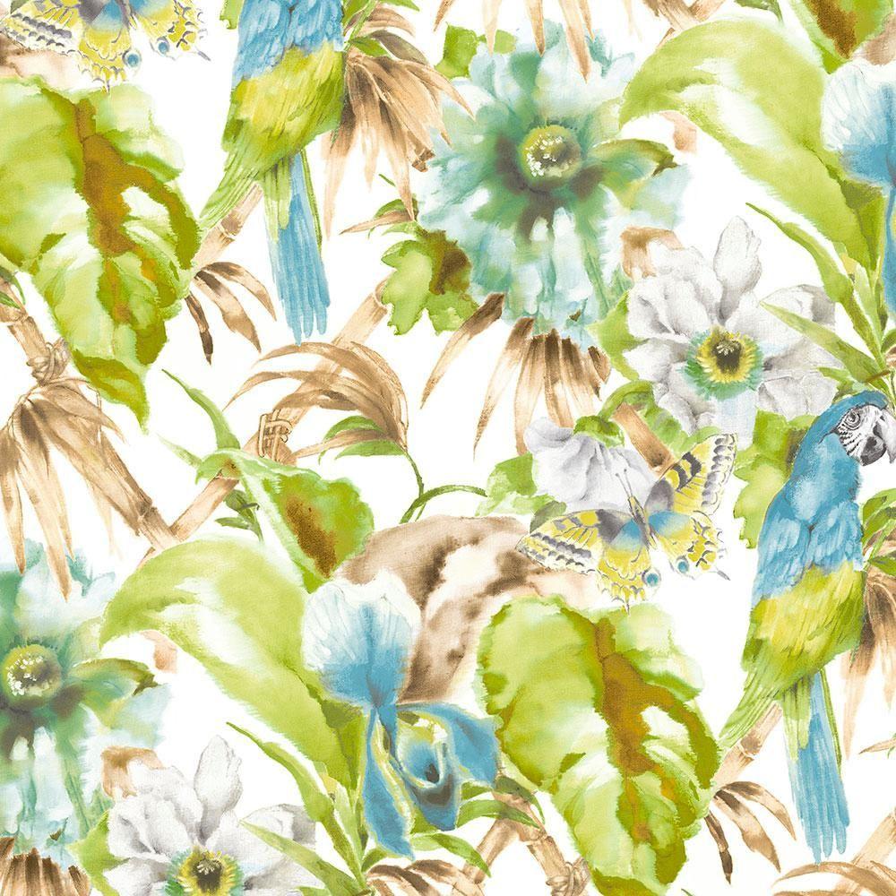 1000x1000 Norwall Palm Beach Parrot Wallpaper PA34242. Paradise wallpaper, Parrot wallpaper, Fern wallpaper