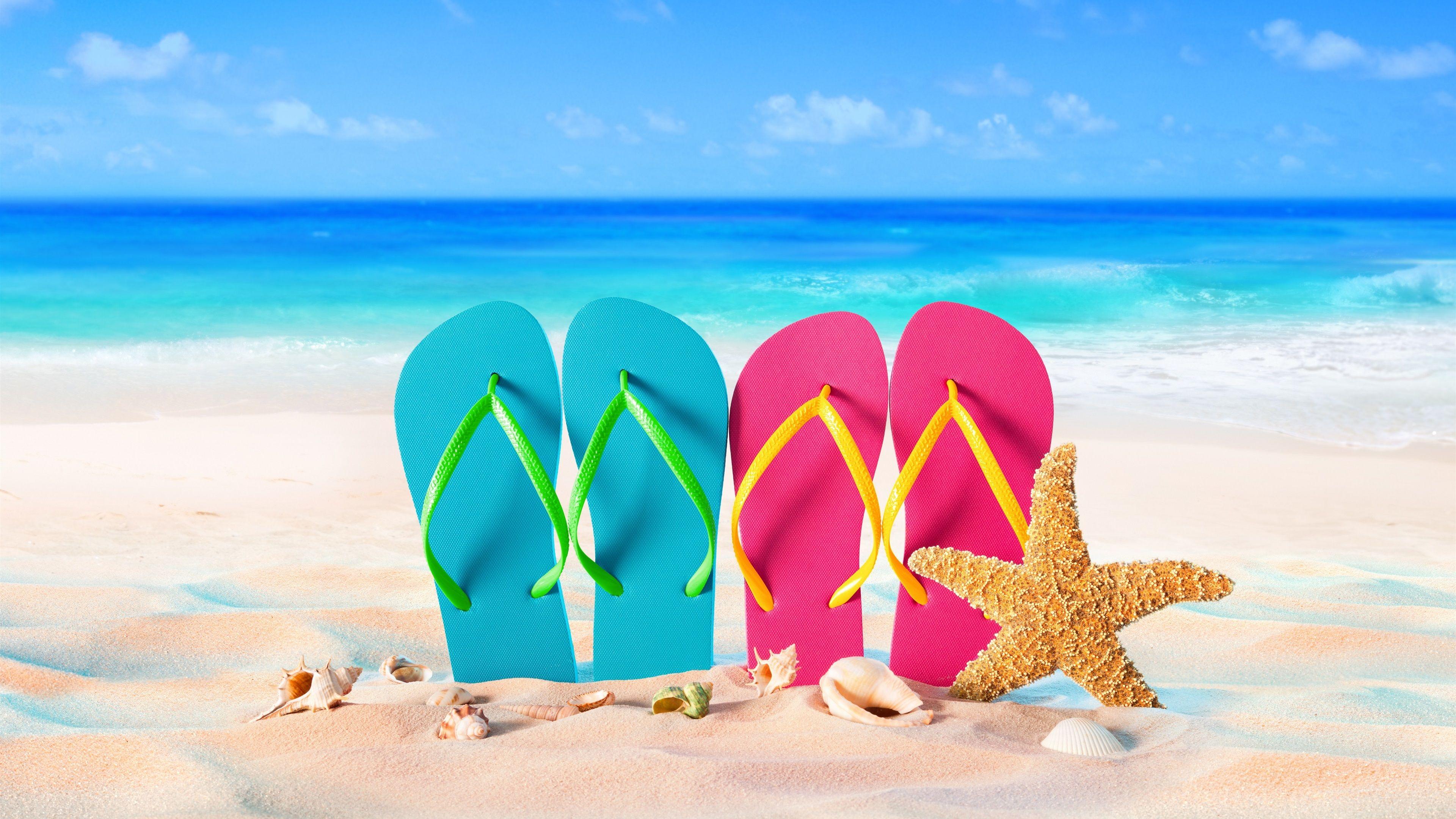 3840x2160 Wallpaper Blue and pink slippers, starfish, seashell, sea, beach 3840x2160 UHD 4K Picture, Image