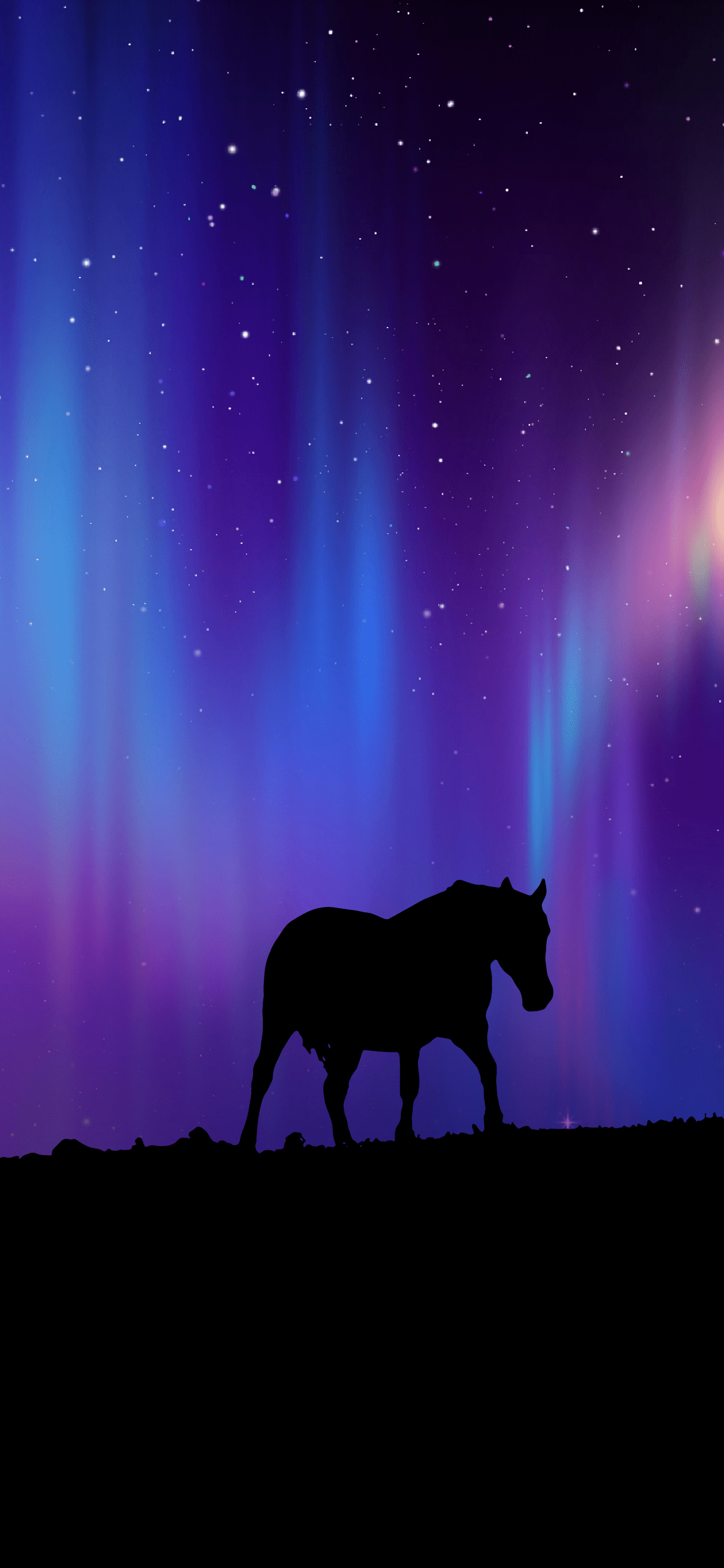 1205x2609 Phone wallpaper horse