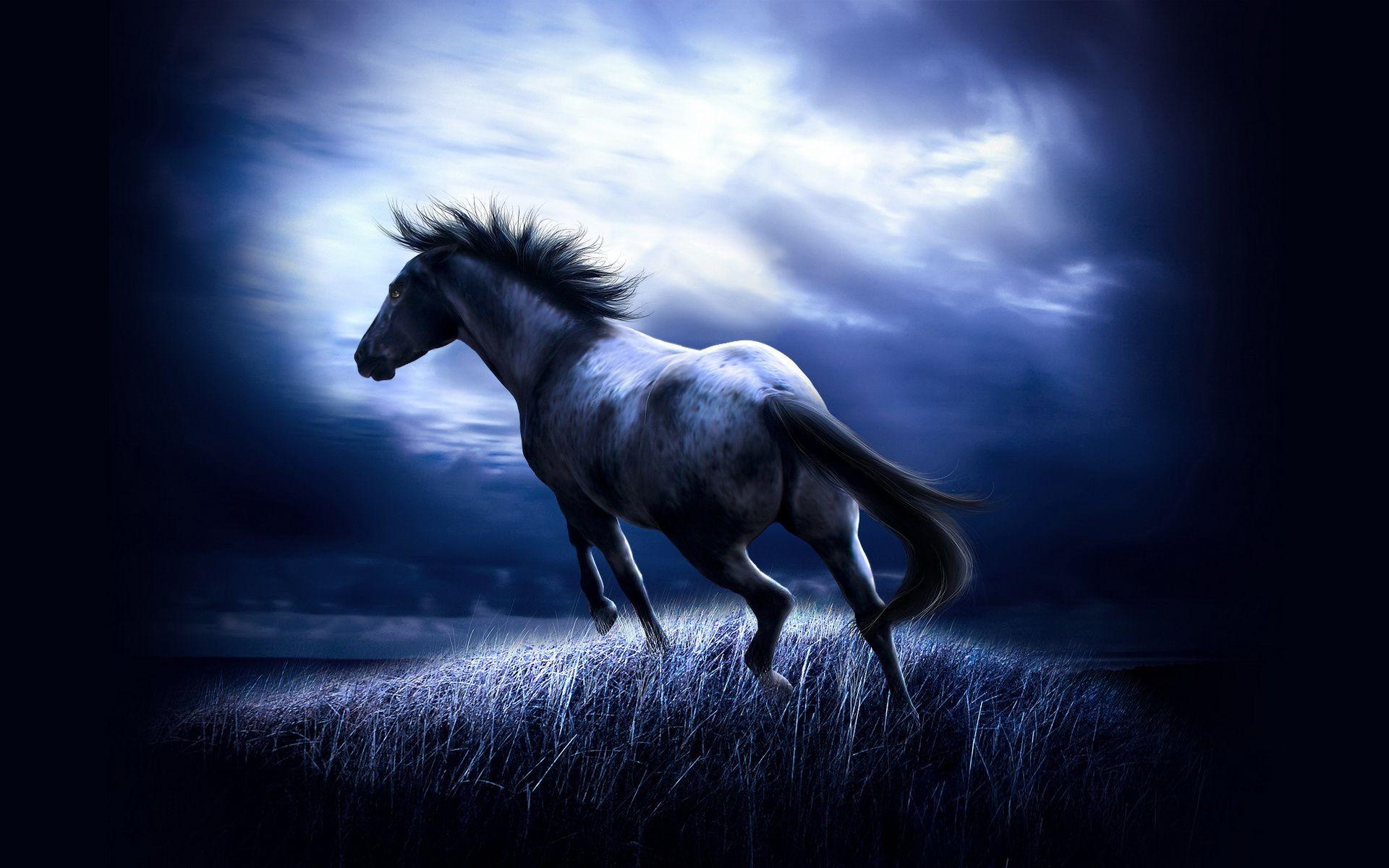 1920x1200 Cool Horse Wallpaper