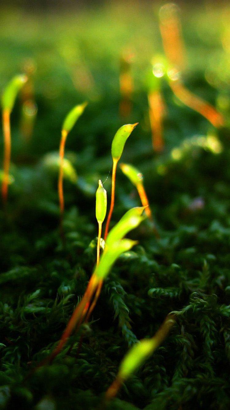 750x1334 PC Vibrant Wallpaper in Amazing Collection