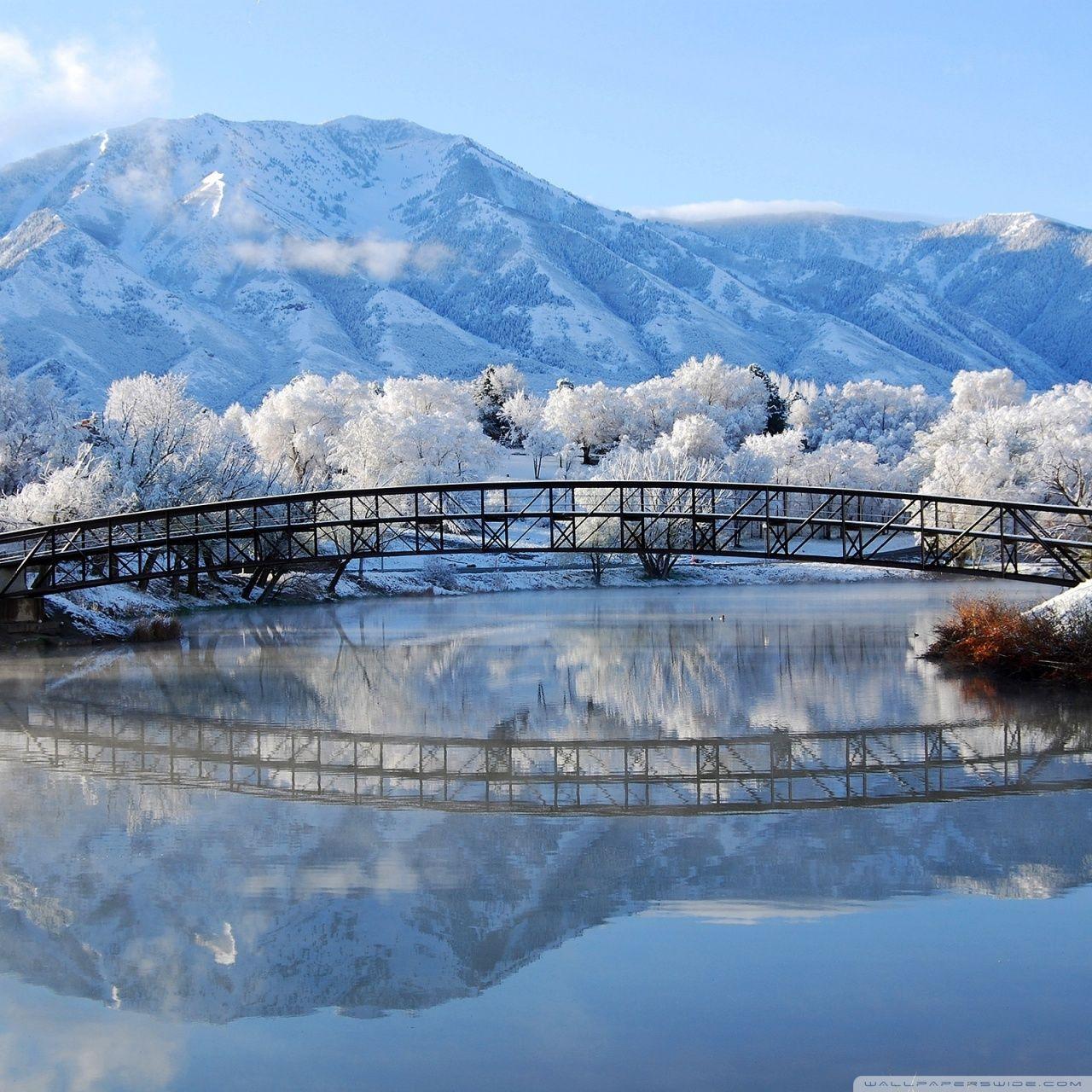 1280x1280 Beautiful Winter Scene Ultra HD Desktop Background Wallpaper for 4K UHD TV : Widescreen & UltraWide Desktop & Laptop : Multi Display, Dual Monitor : Tablet