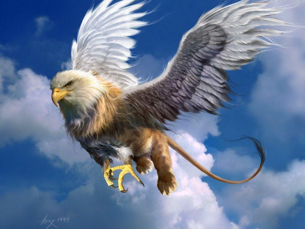 1024x768 Gryphon Griffin Wallpaper 1zchj HD Wallpaper