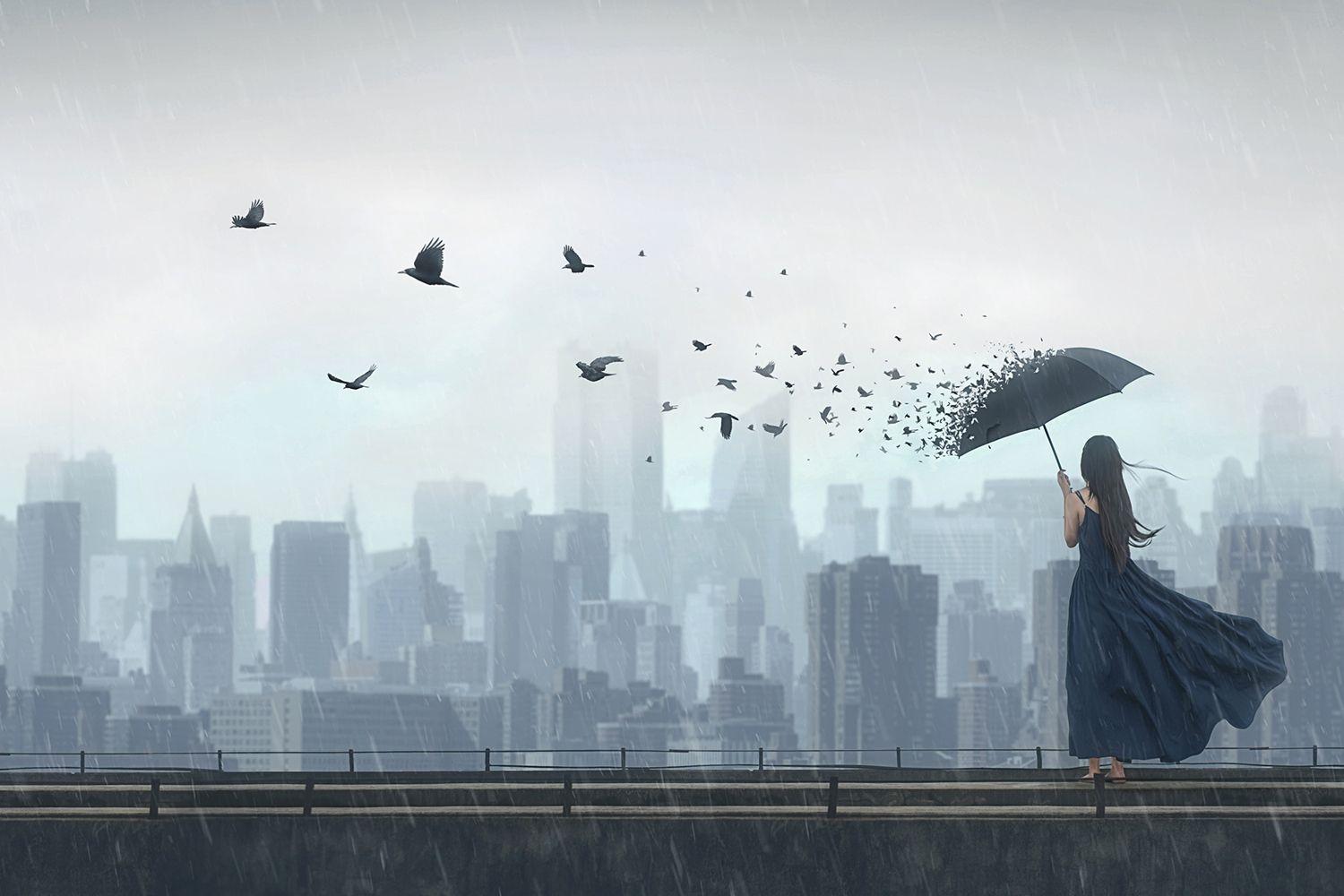 1500x1000 Photo Wallpaper Fly Away. Order online now!