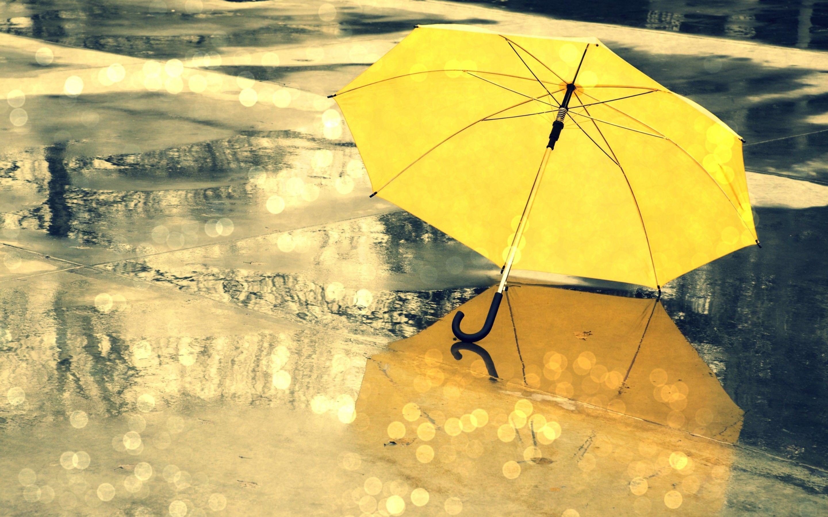 2880x1800 Wallpaper Umbrella HD