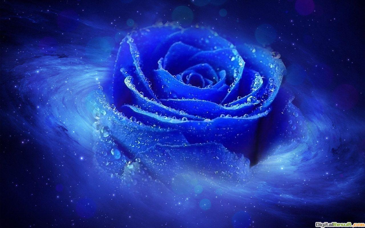 1280x800 1280x800 HD cool 3D blue rose desktop wallpaper background - Rose HD Wallpaper