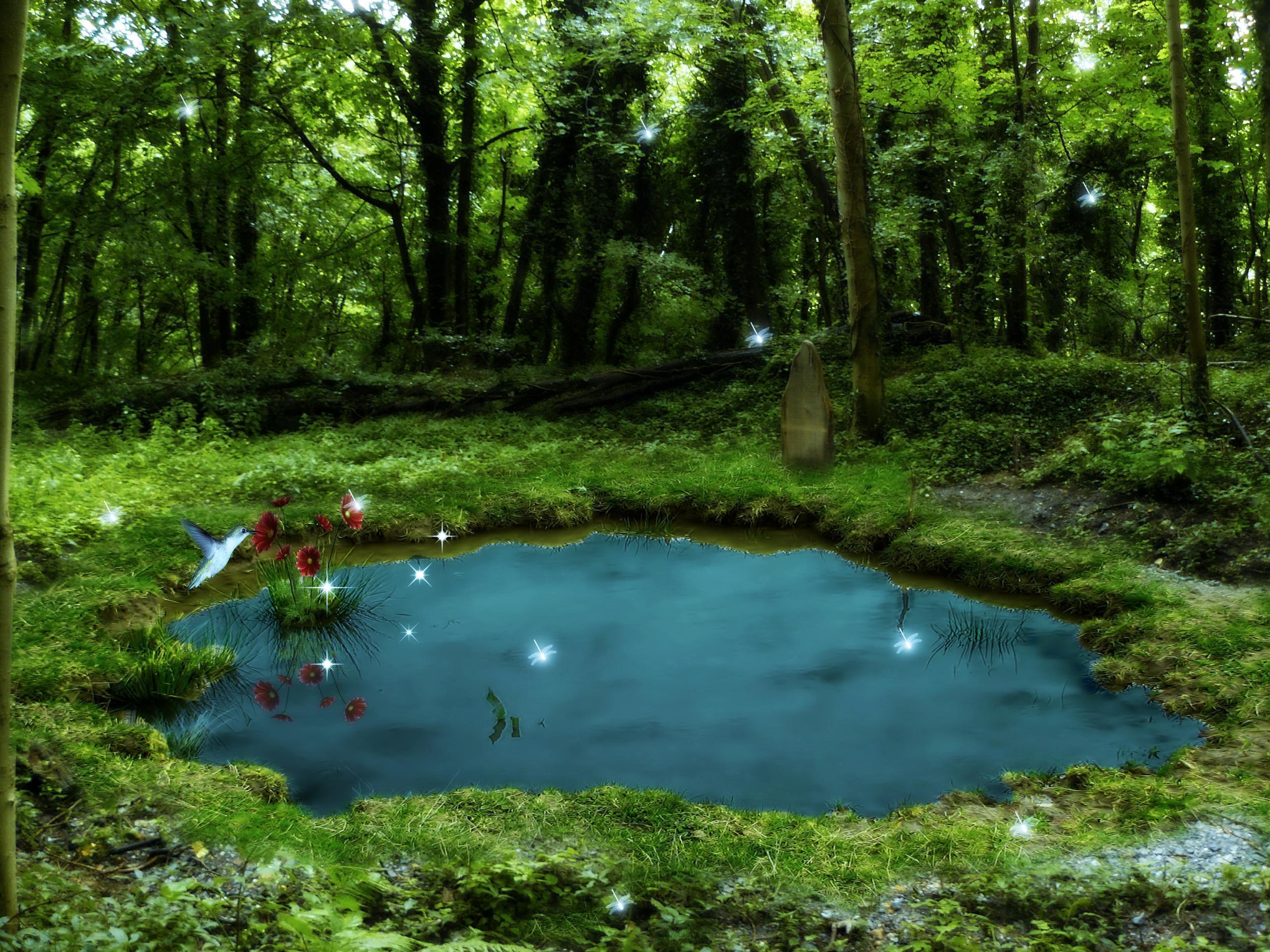 2560x1920 Pond Wallpaper