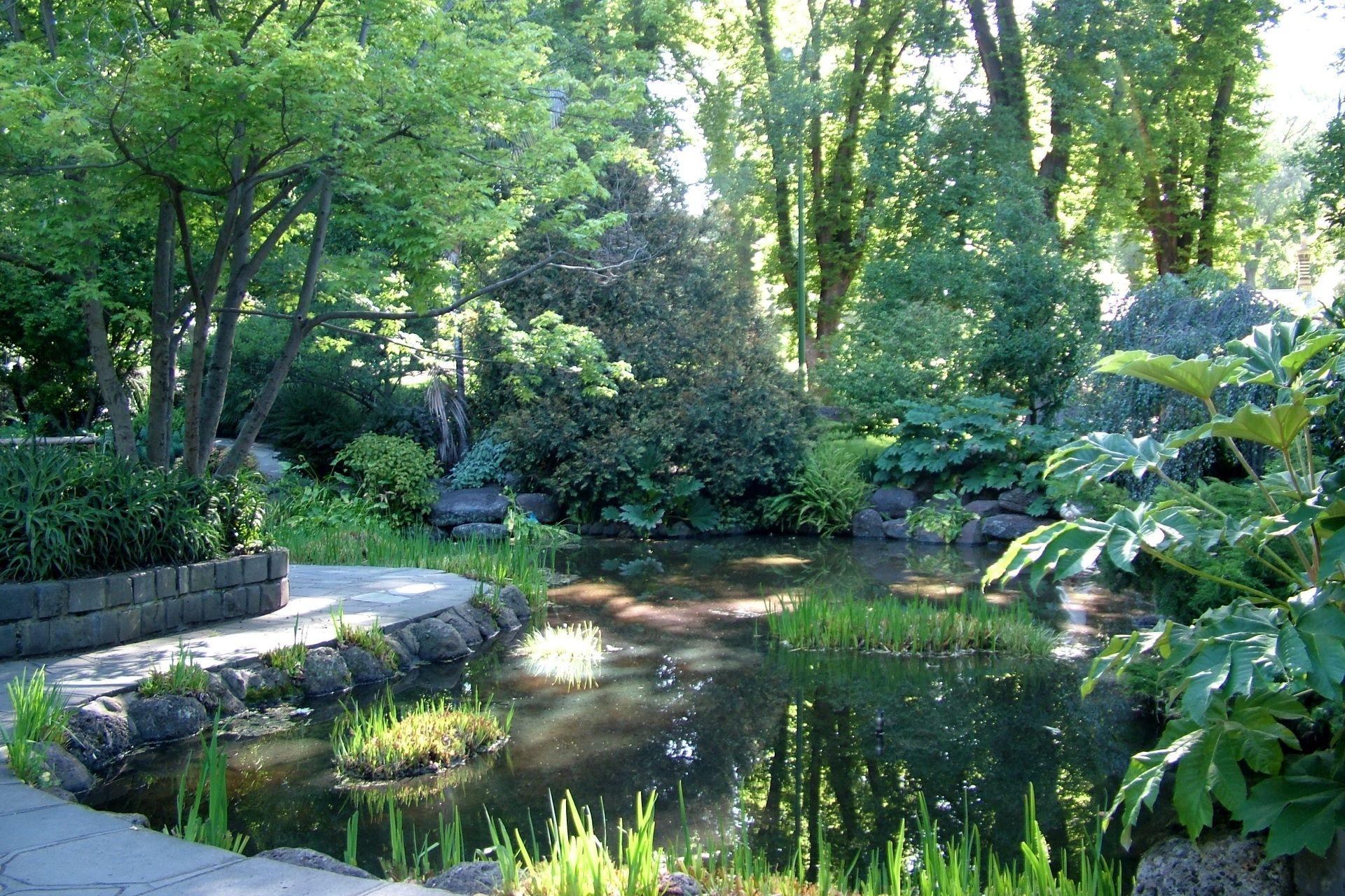 1920x1280 Download wallpaper 1920x1280 garden, pond, trees, shadows, light, water HD background