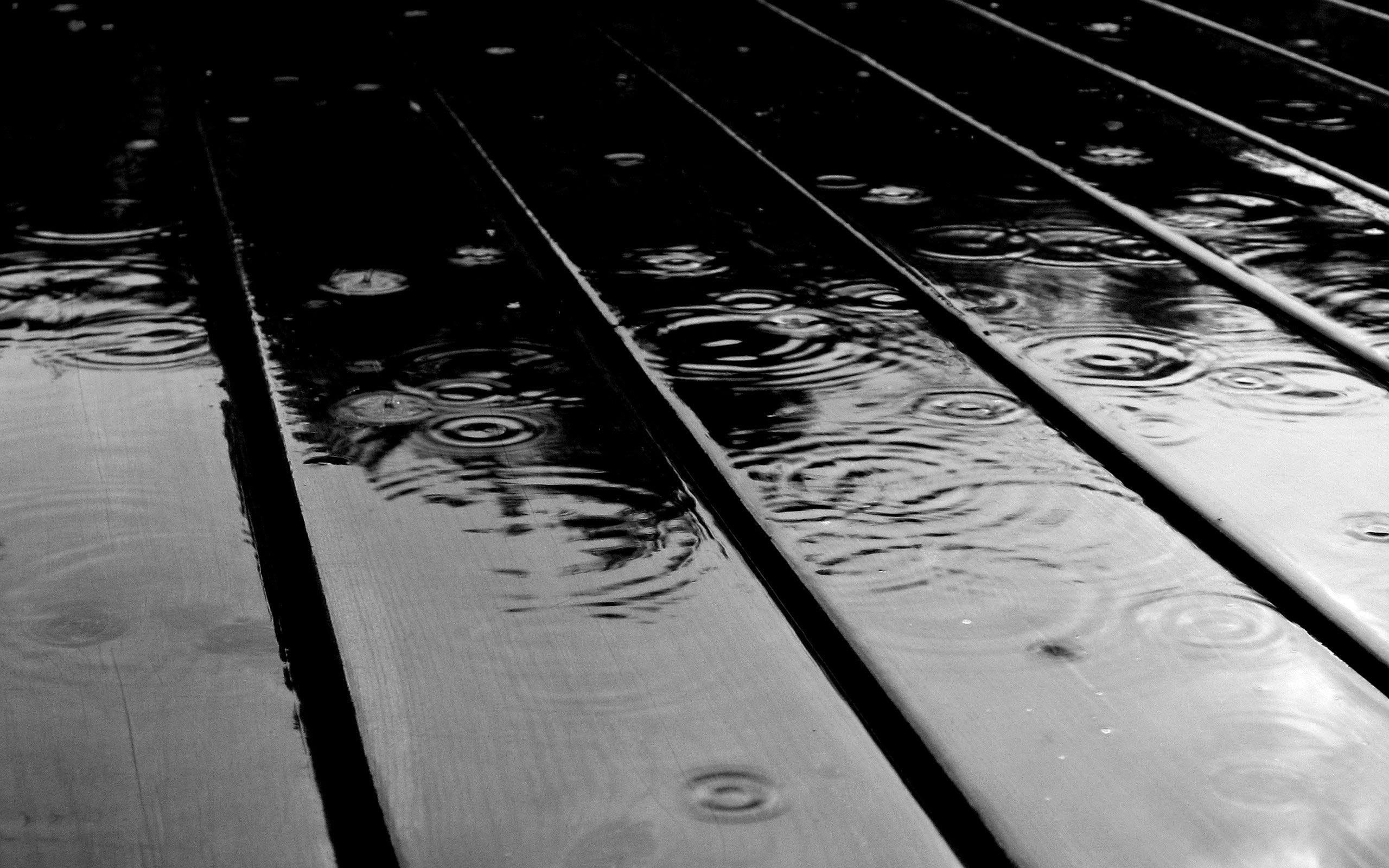 2560x1600 Desktop Wallpaper · Gallery · Windows 7 · Spring rain. Free