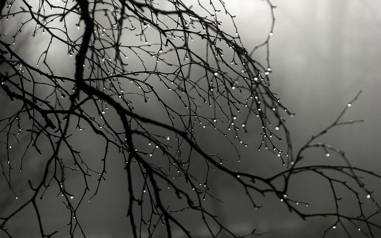 1280x800 Rain Wallpaper HD