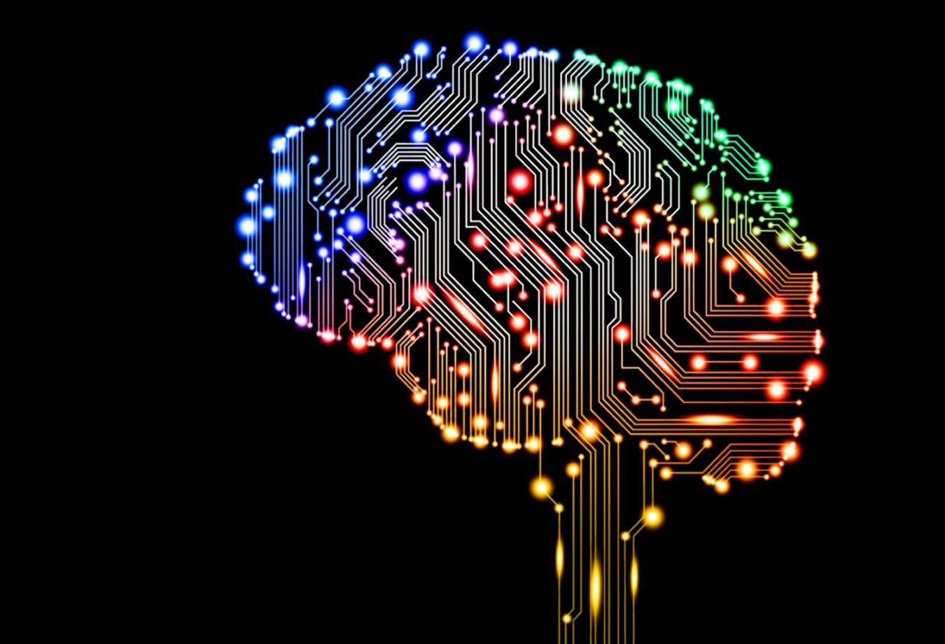 1350x920 Brain Wallpaper HD
