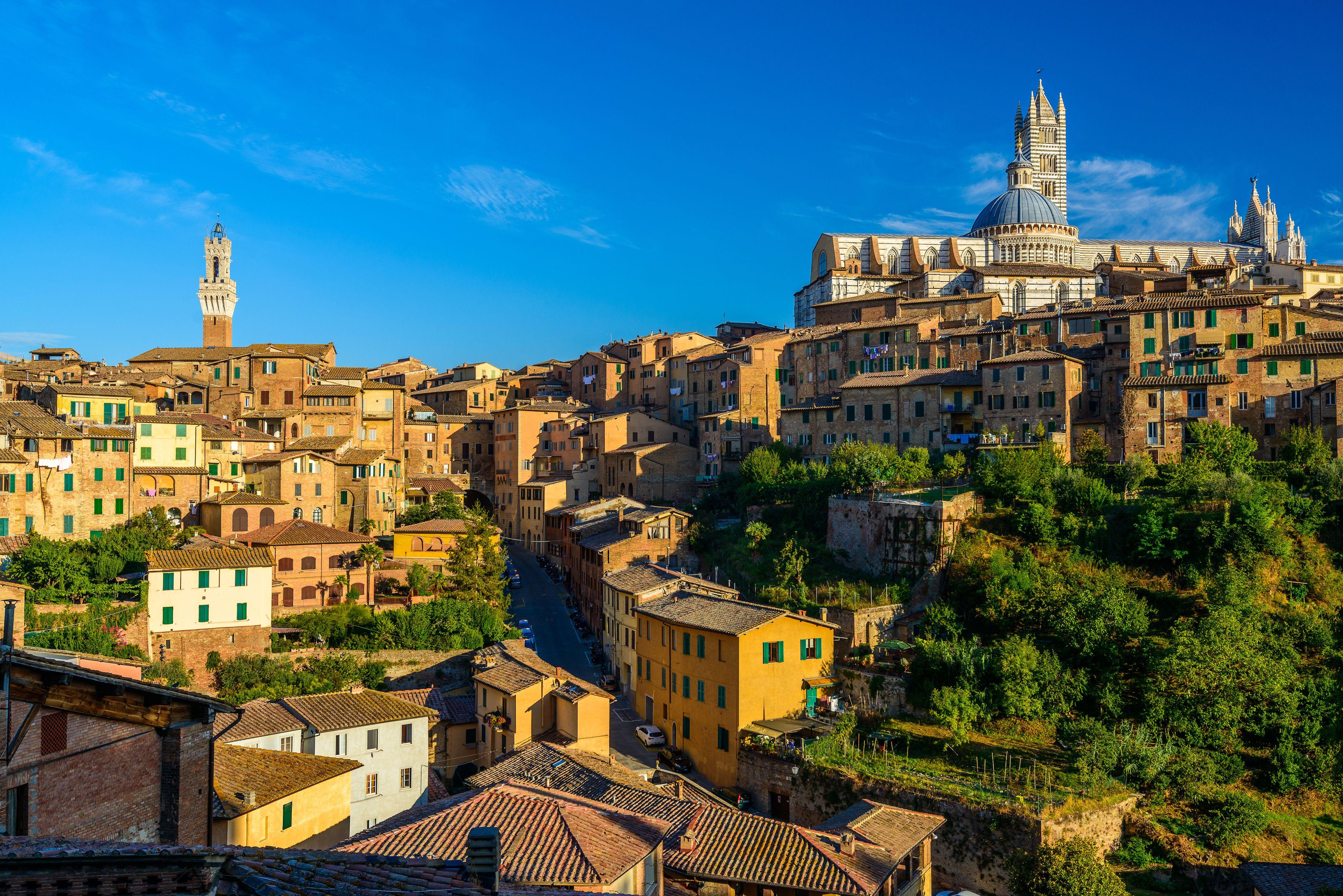 4300x2870 wallpaper of animals: Siena Agudong Image and Wallpaper