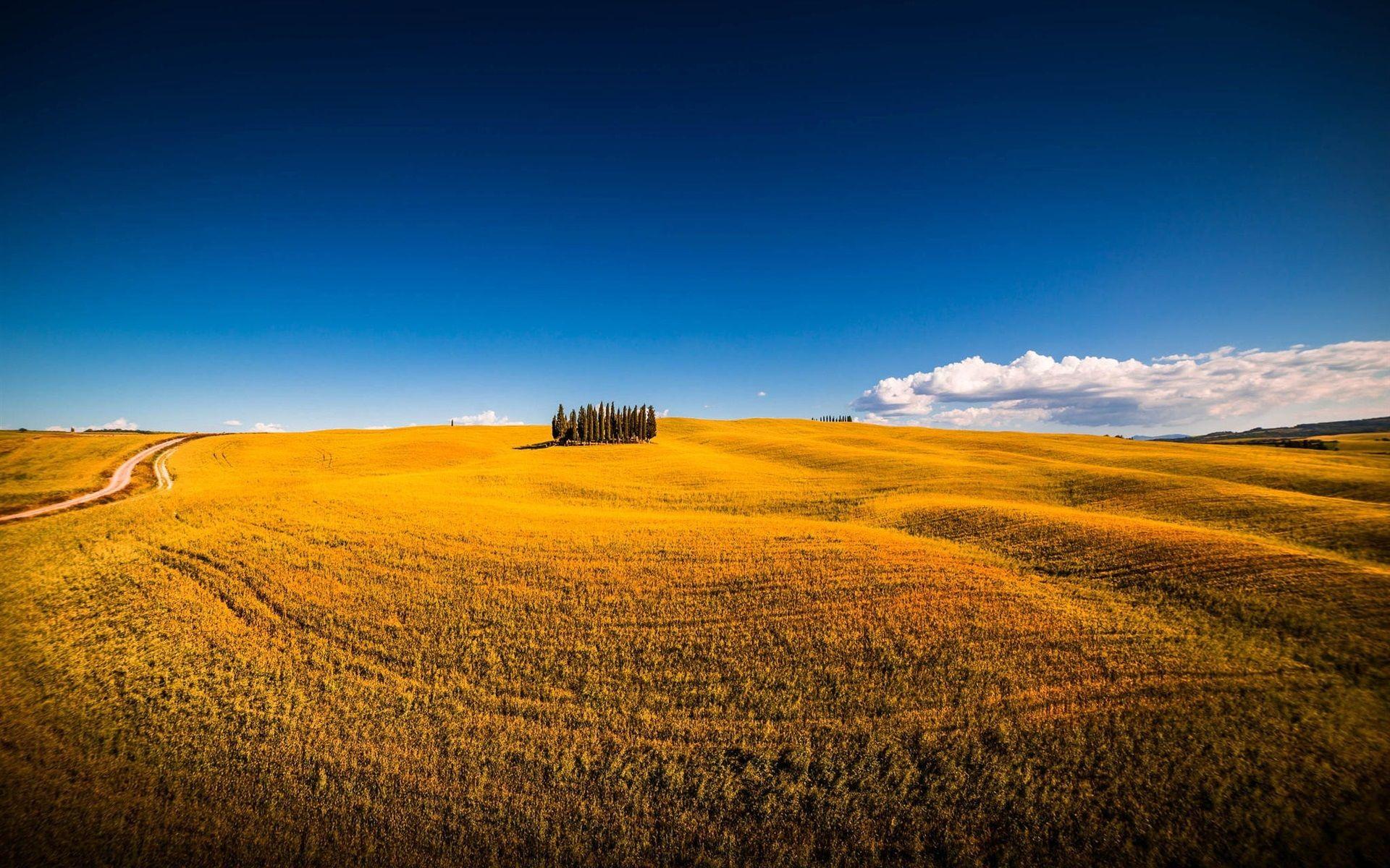 1920x1200 Wallpaper Siena, Italy, Montalcino, summer, trees, fields 1920x1200 HD Picture, Image