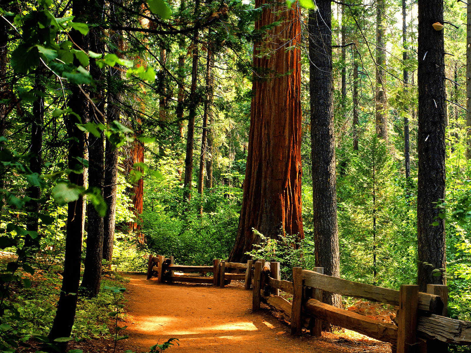 1600x1200 Image result for northern california wallpaper