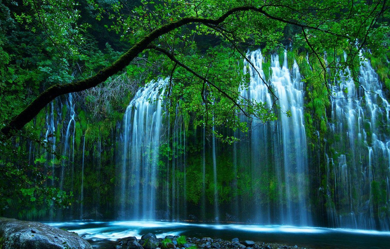 1332x850 Wallpaper greens, trees, nature, waterfall, USA, Shasta Retreat, Sacramento River, Mossbrae Falls, Northern California, Erno Photography, Dunsmuir image for desktop, section природа