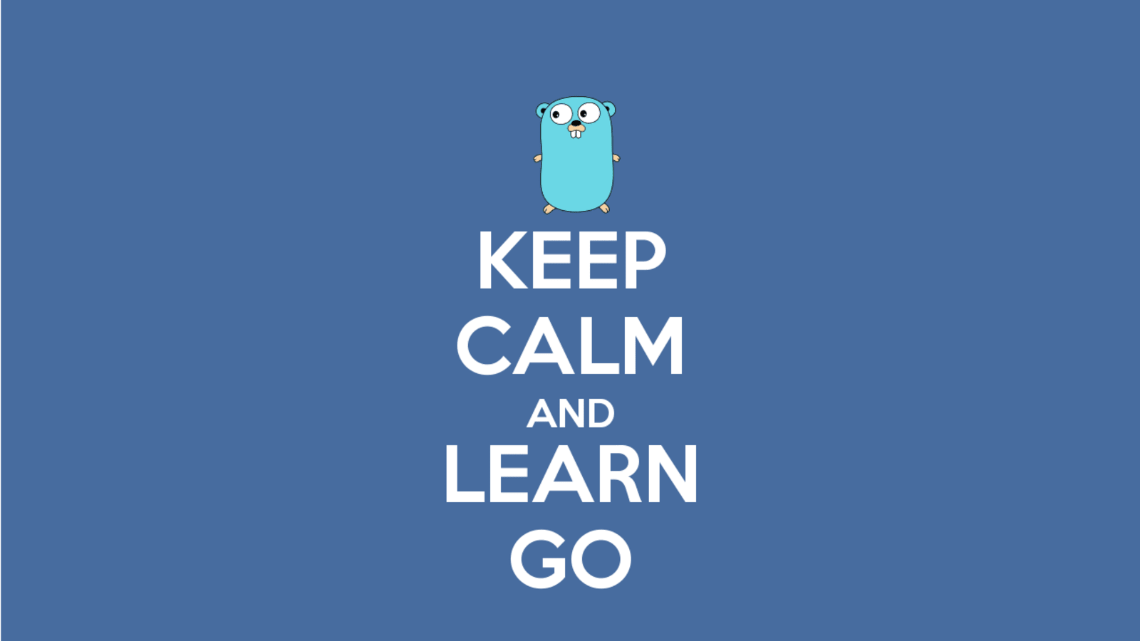 Golang Wallpapers Top Free Golang Backgrounds WallpaperAccess