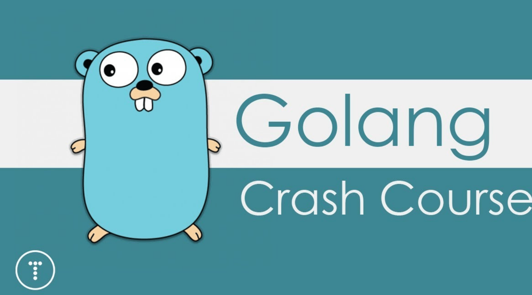 golang tshirts