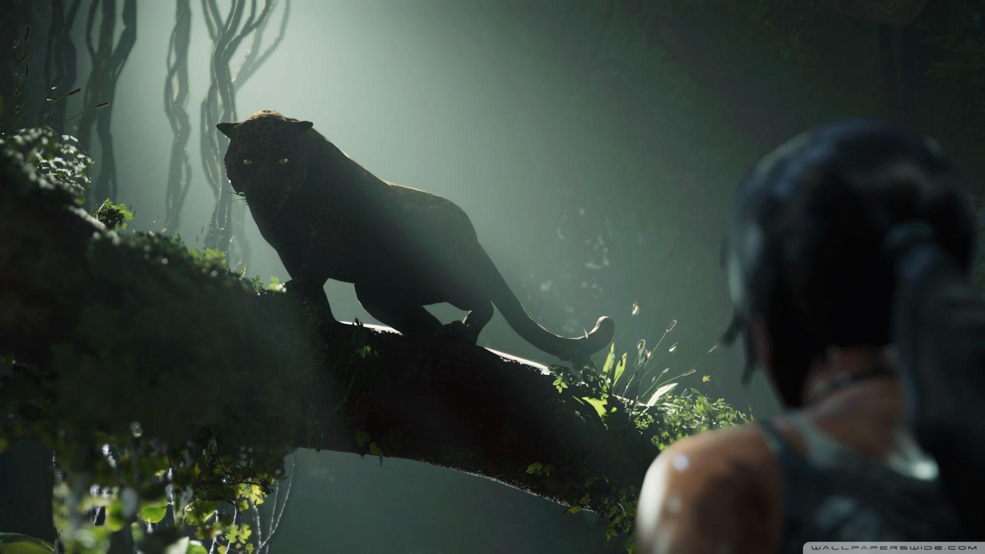 1920x1080 Shadow of Tomb Raider Ultra HD Desktop Background Wallpaper for 4K UHD TV : Widescreen & UltraWide Desktop & Laptop : Tablet