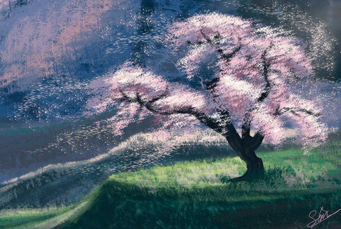 1100x739 Cherry Blossom Landscape By Sapphire Sonnet
