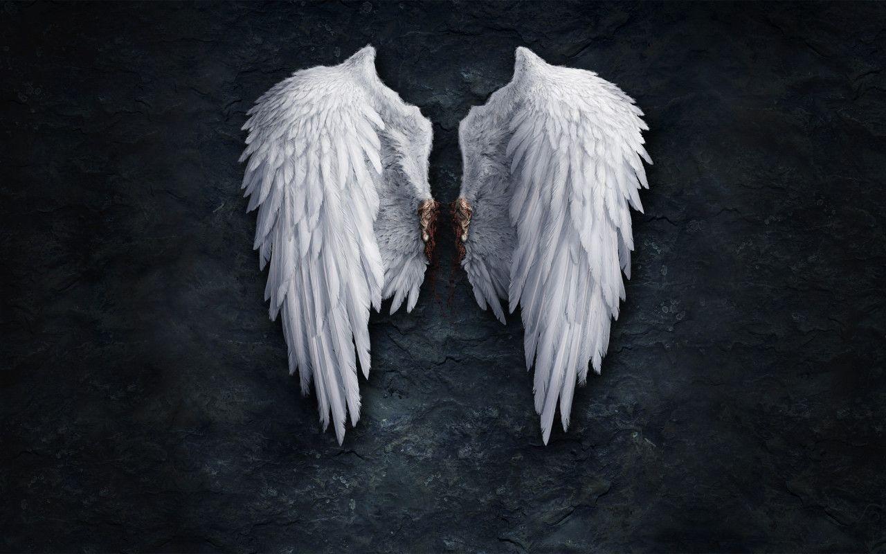 1280x800 Angel Wallpaper 13211 1280x800 px