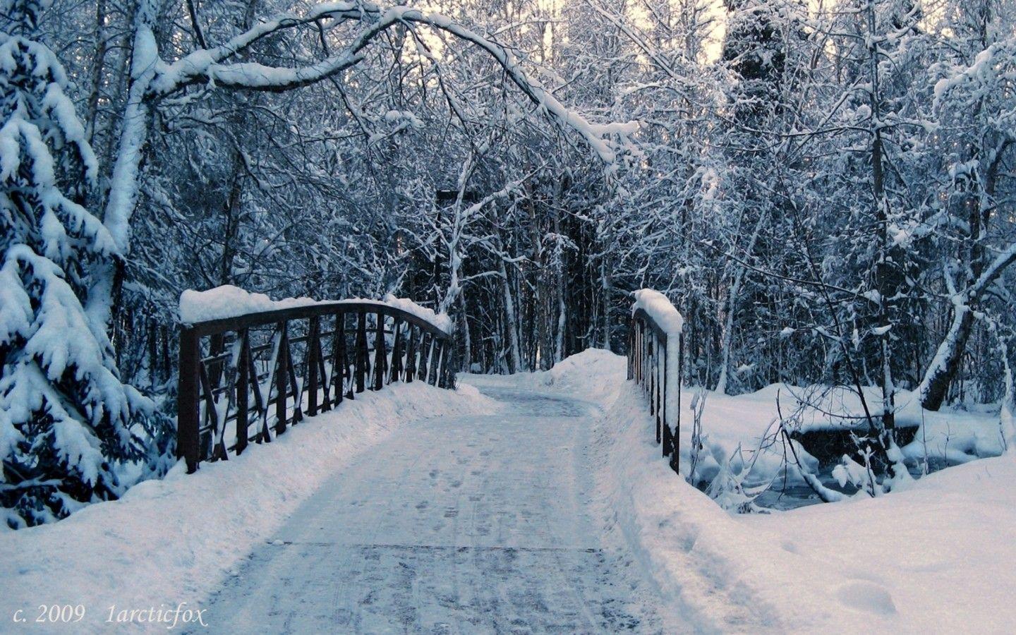 1440x900 Wp Content Uploads 2013 04 Winter_wallpaper_. Winter Wallpaper, Winter Picture, Winter Wallpaper Hd