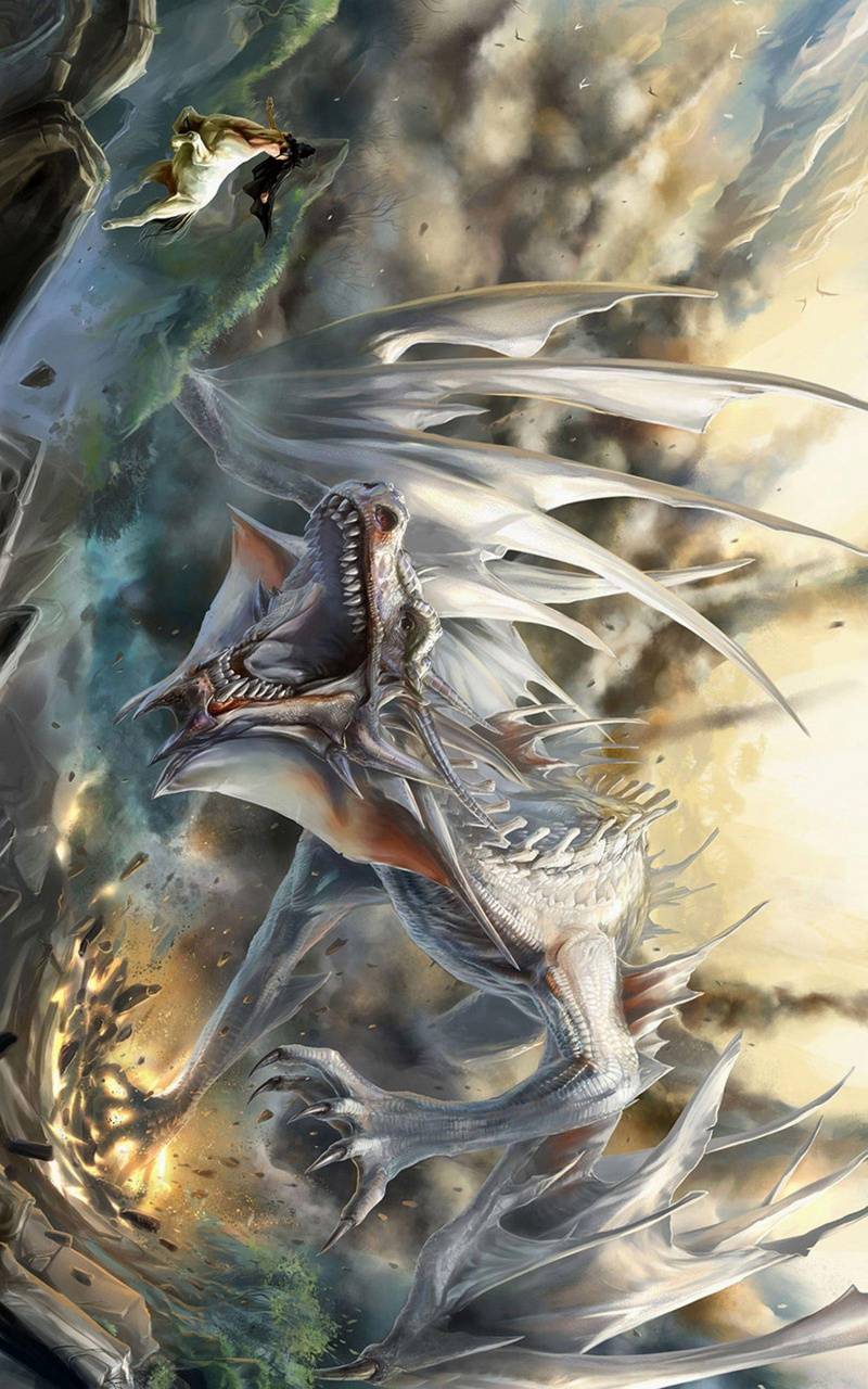 800x1280 Roaring dragon wallpaper