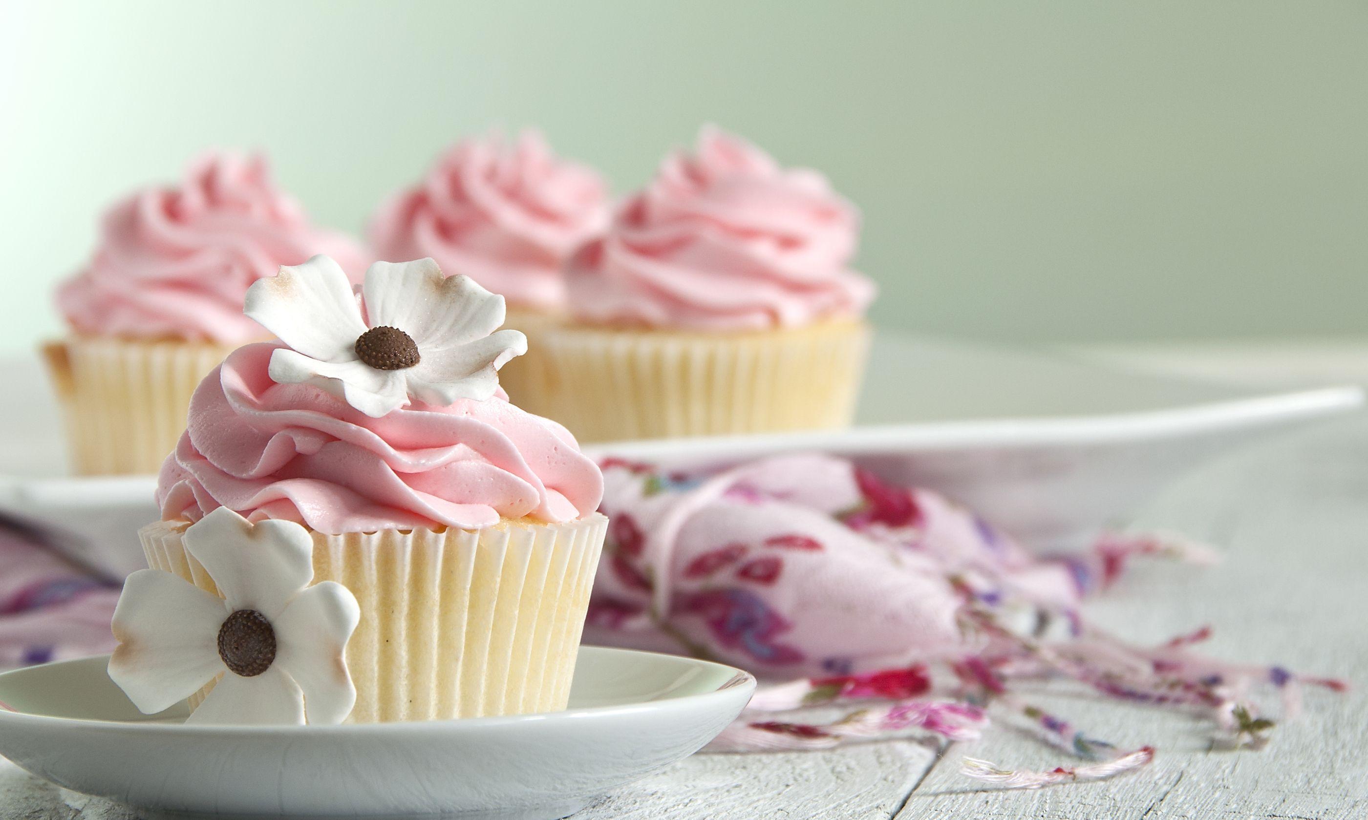 2800x1679 Cupcake Wallpaper HD