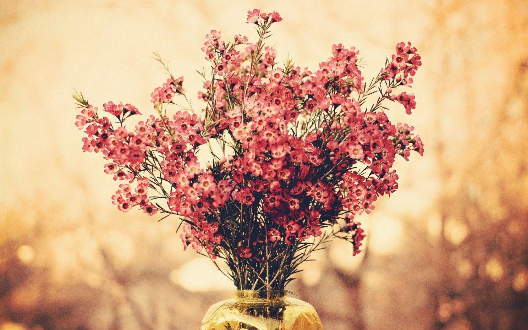 1680x1050 Flowers Bouquet Wallpaper