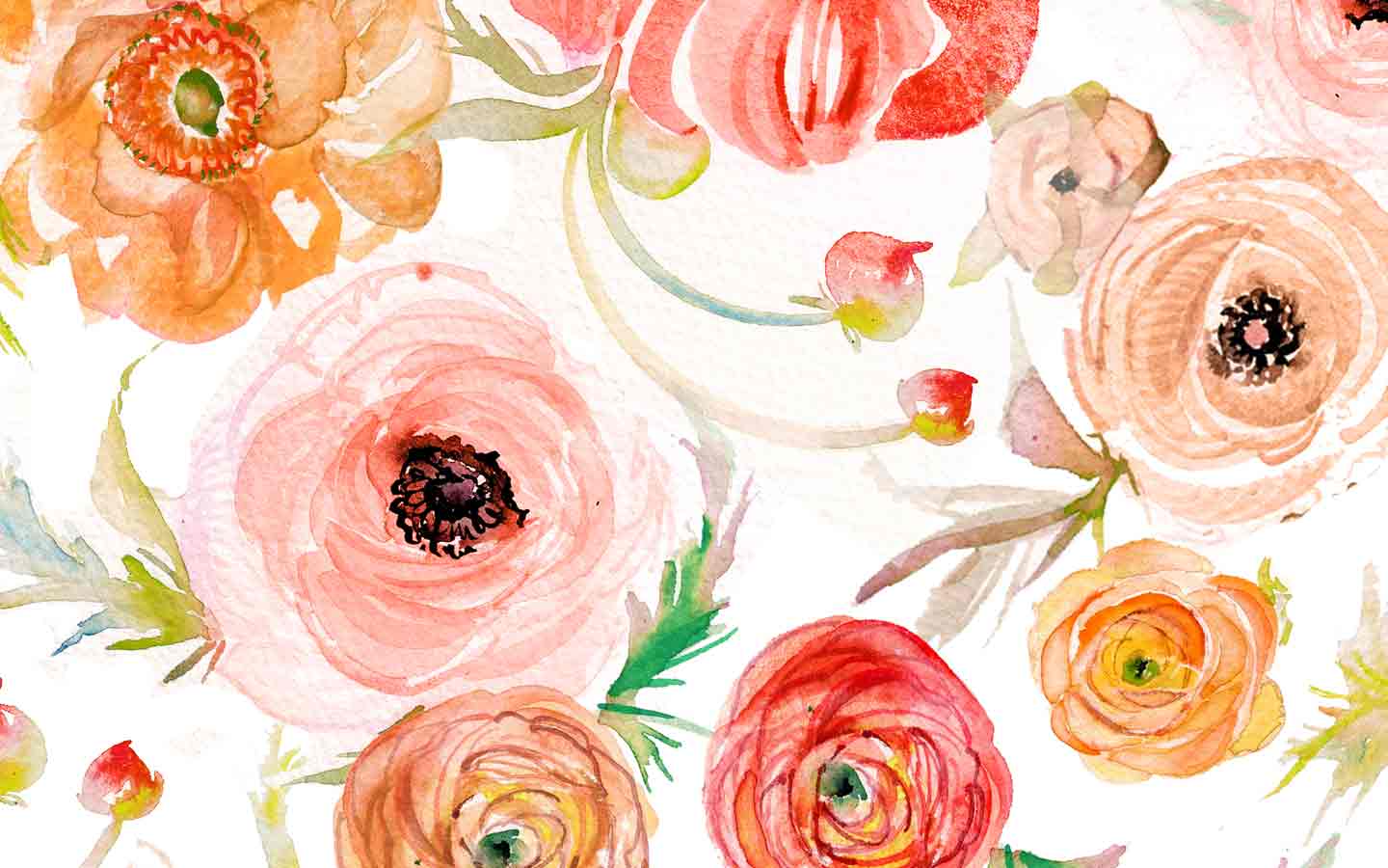 1440x900 Watercolor Flowers Wallpaper