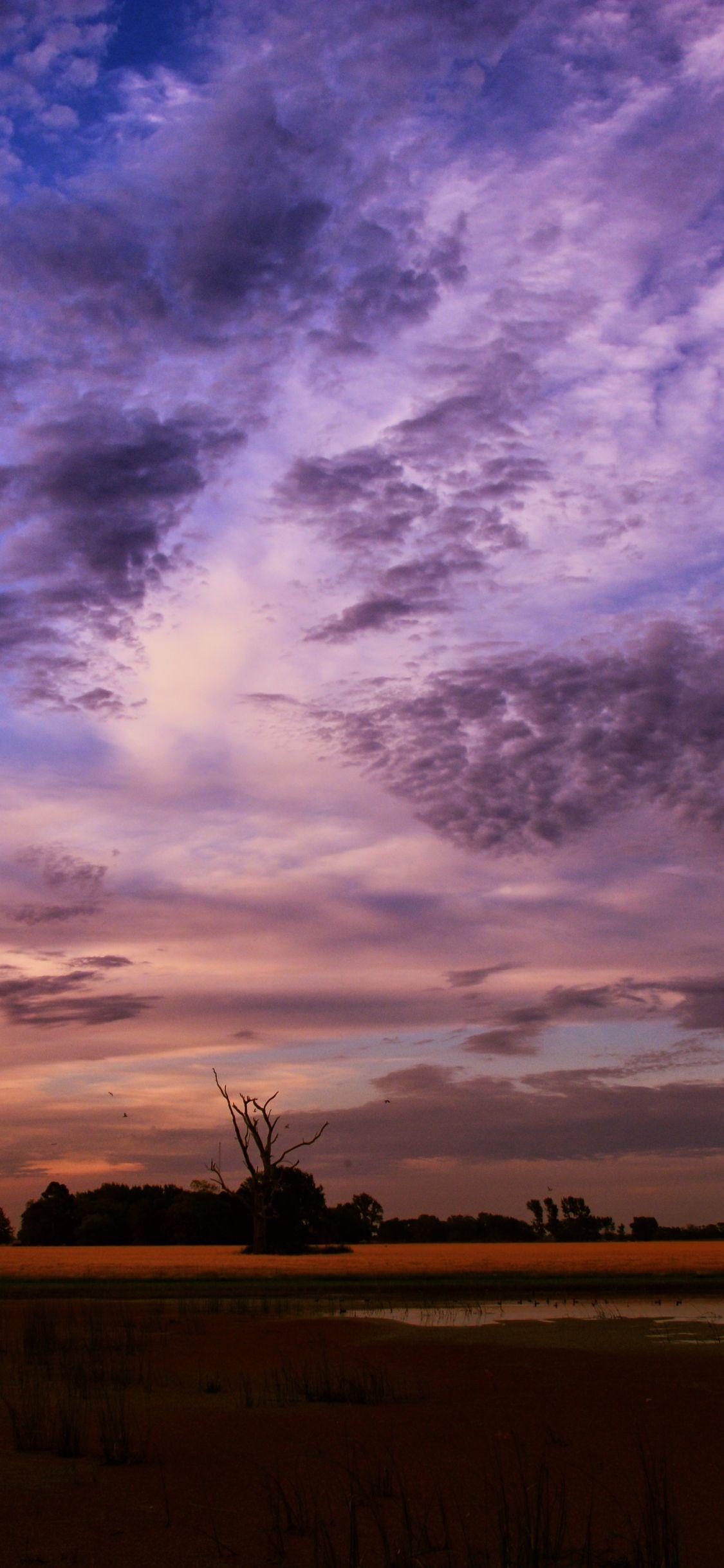 1125x2436 Download 1125x2436 wallpaper sunset, purple clouds, sky, nature, iphone x 1125x2436 HD image, background, 1635