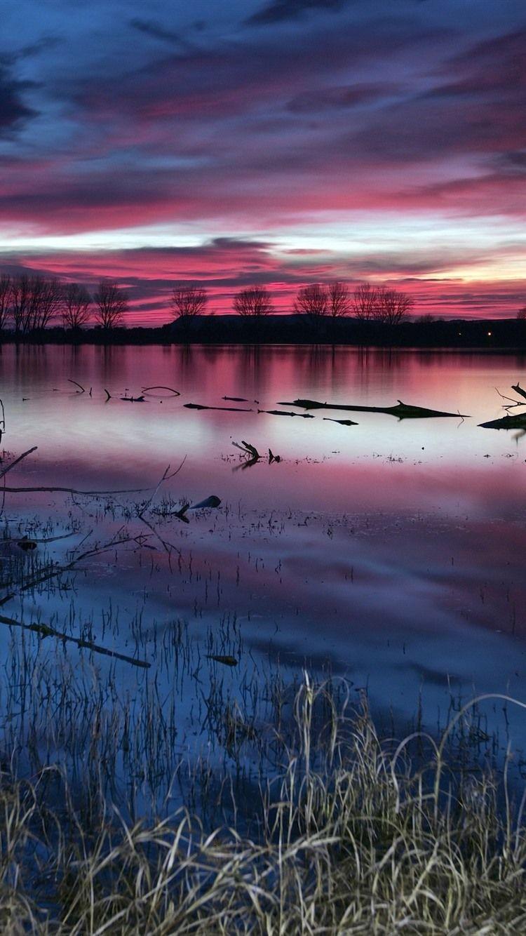 750x1334 Lake, Grass, Dusk, Trees, Purple Clouds 750x1334 IPhone 8 7 6 6S Wallpaper, Background, Picture, Image